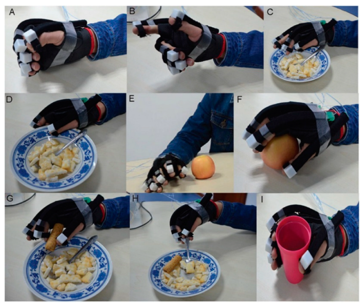 Bioengineering 09 00768 g009 Bioengineering 09 00768 g009