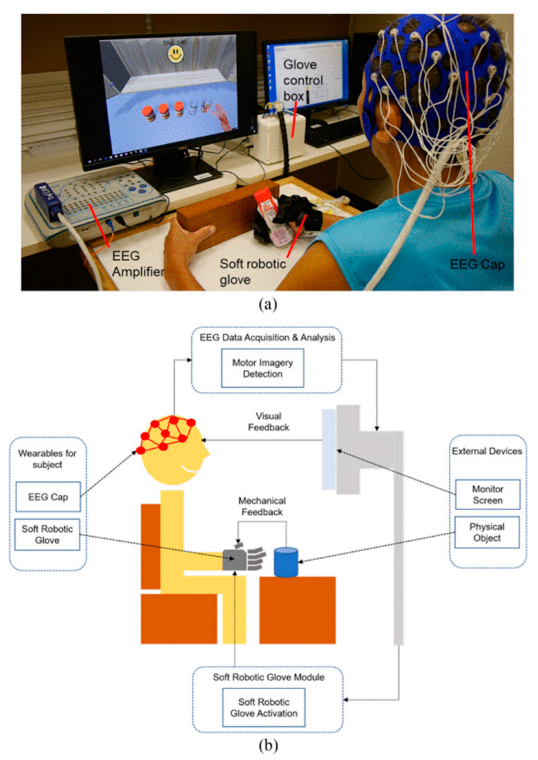 Bioengineering 09 00768 g010 Bioengineering 09 00768 g010
