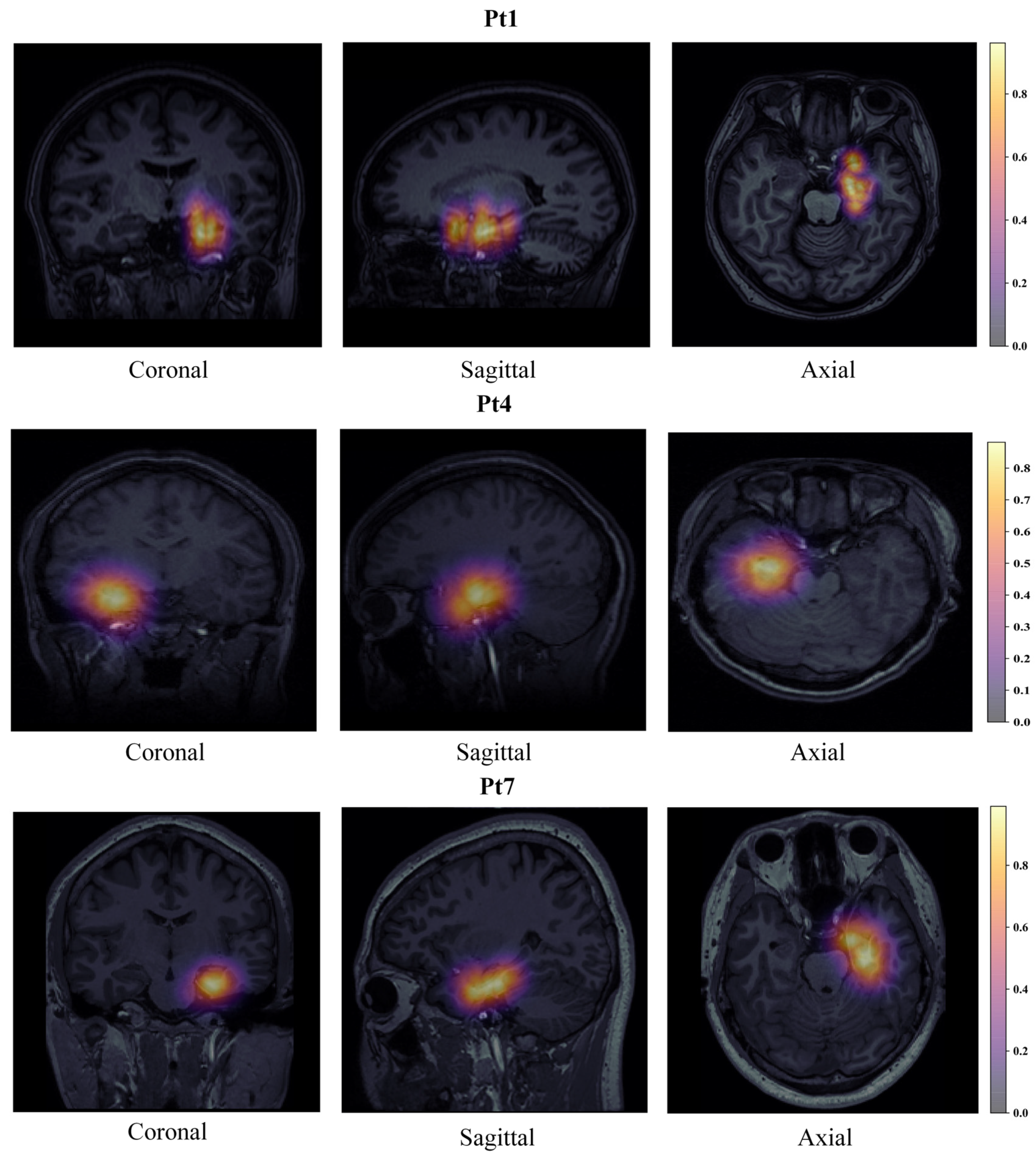 Bioengineering 09 00769 g007