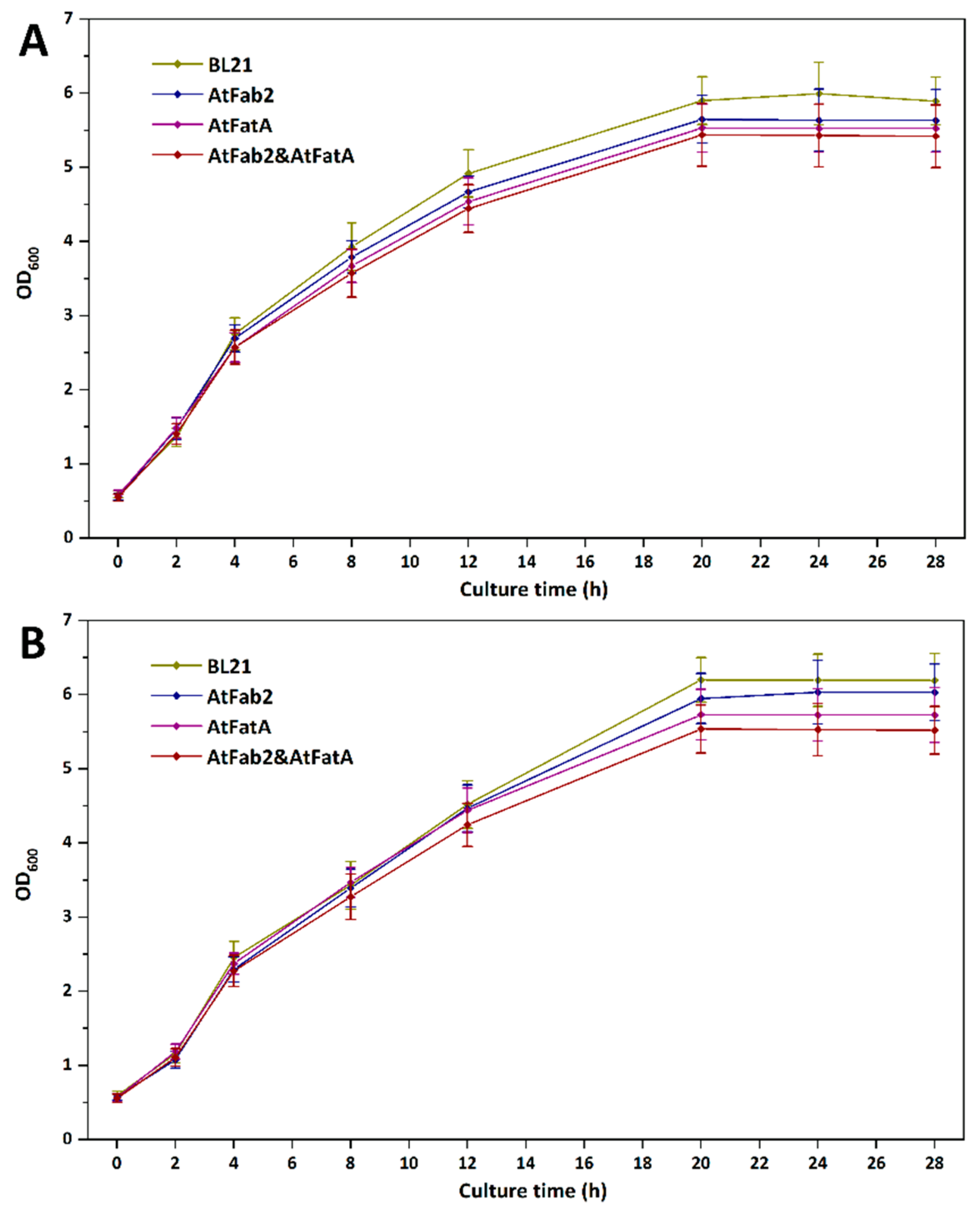 Bioengineering 09 00771 g004