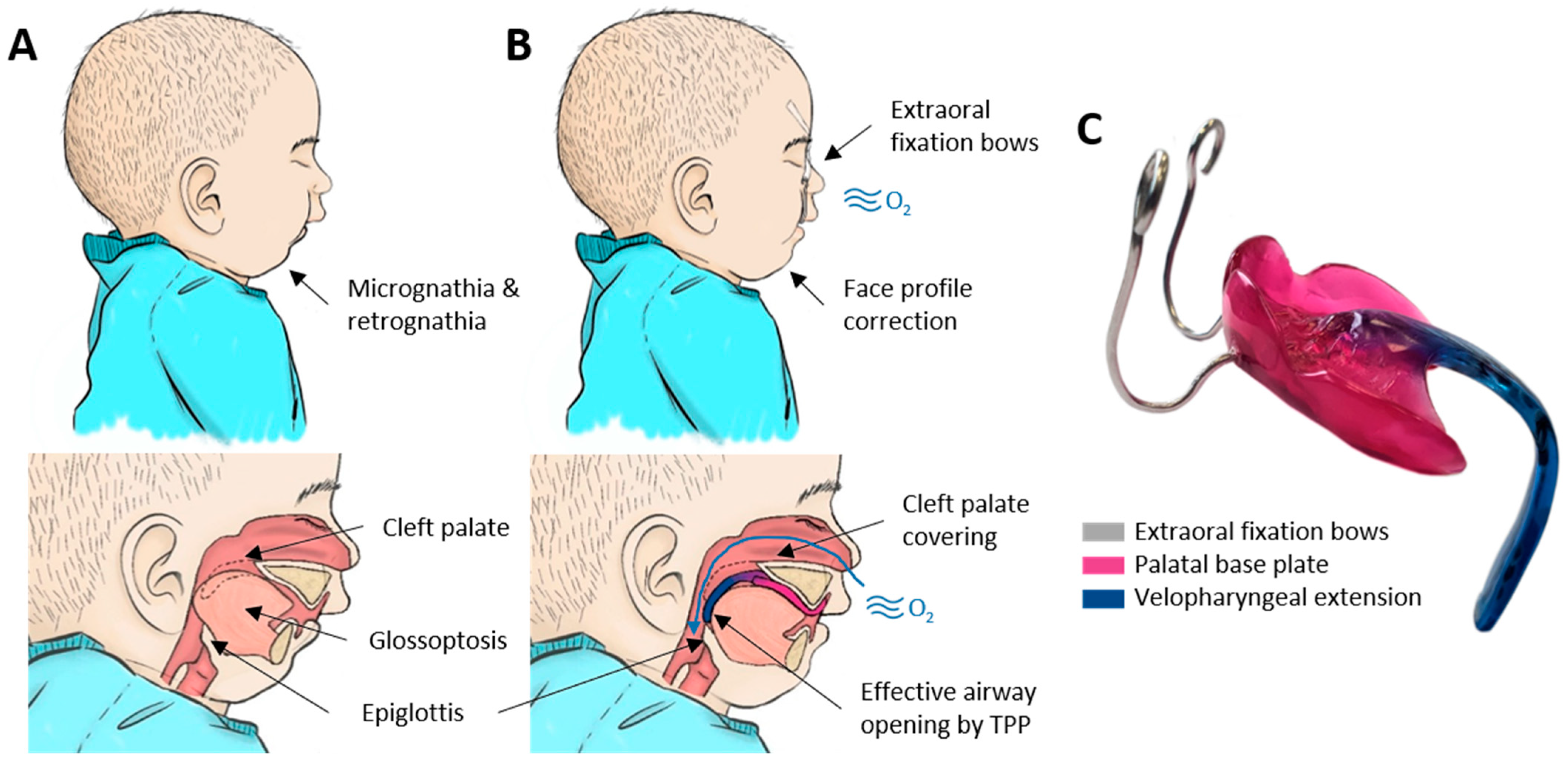 Bioengineering 09 00773 g001 Bioengineering 09 00773 g001