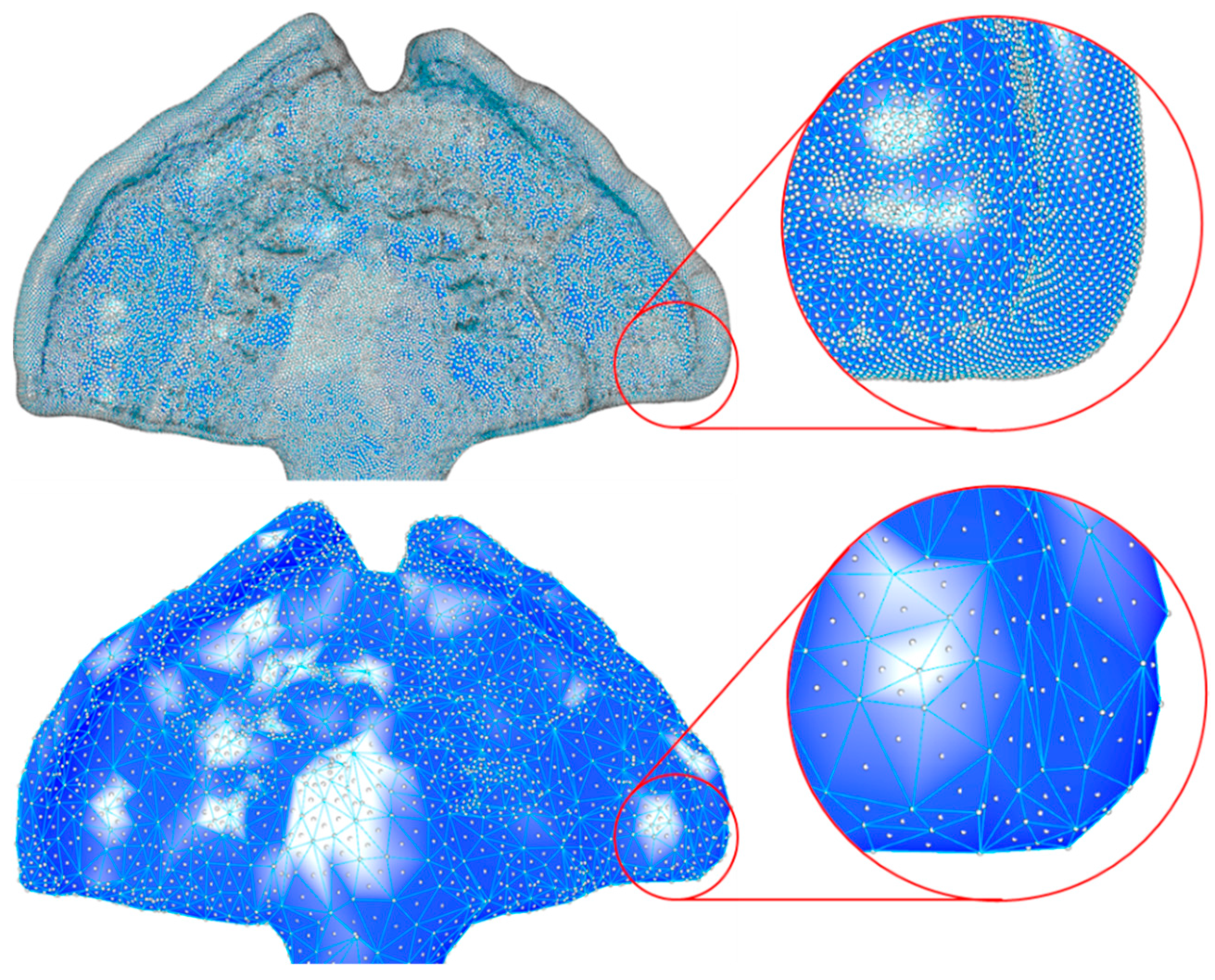 Bioengineering 09 00773 g006 Bioengineering 09 00773 g006