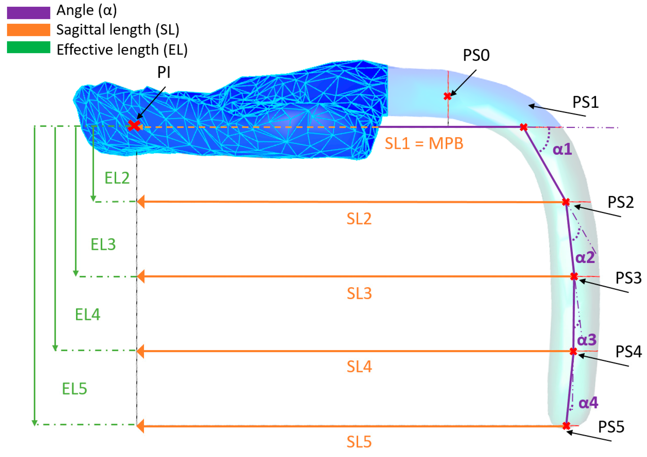 Bioengineering 09 00773 g011 Bioengineering 09 00773 g011