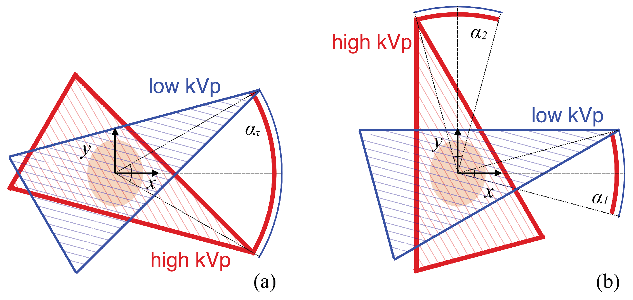 Bioengineering 09 00775 g001 Bioengineering 09 00775 g001