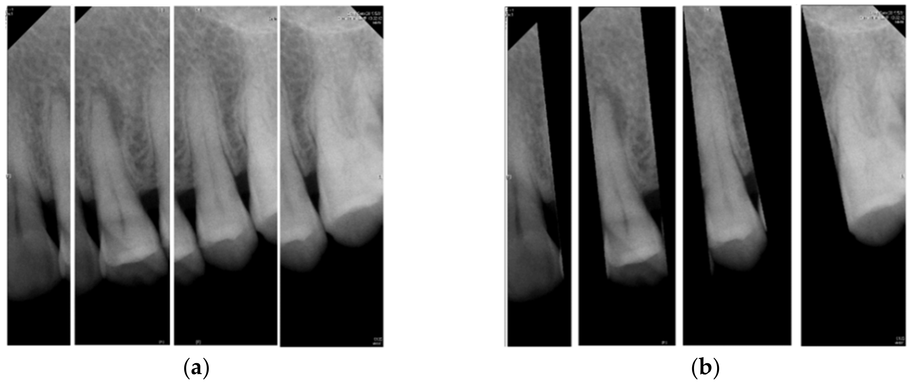 Bioengineering 09 00777 g004