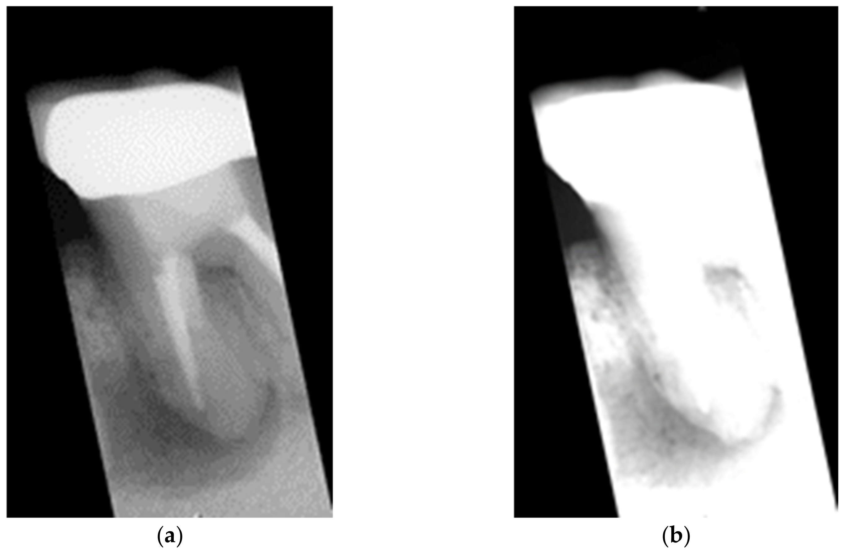 Bioengineering 09 00777 g006
