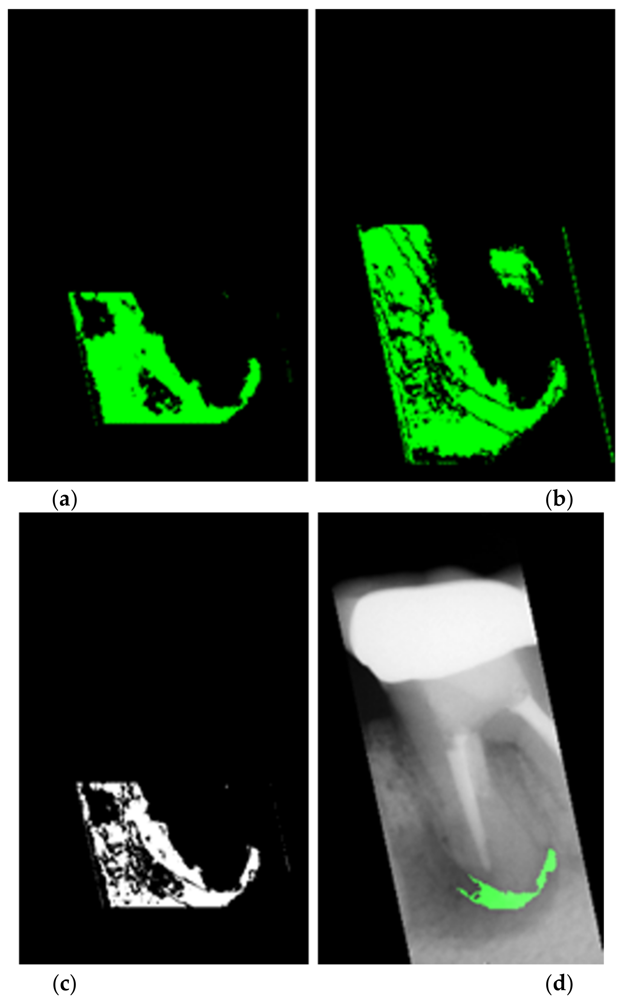 Bioengineering 09 00777 g007
