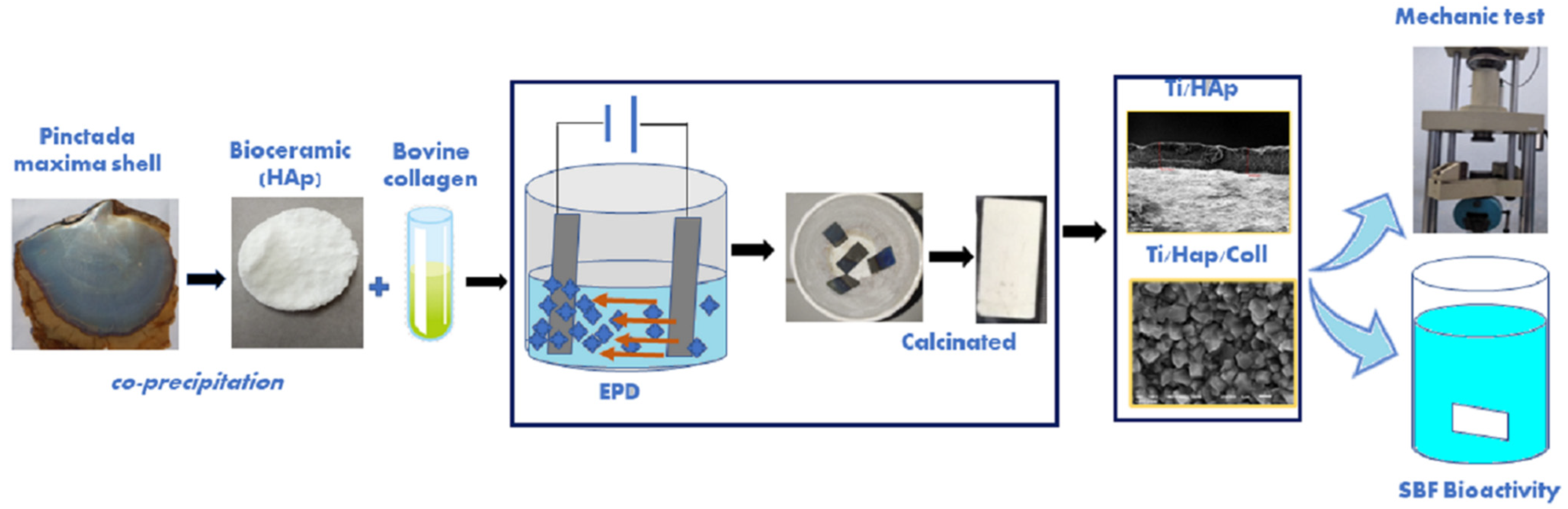 Bioengineering 09 00784 g001 Bioengineering 09 00784 g001