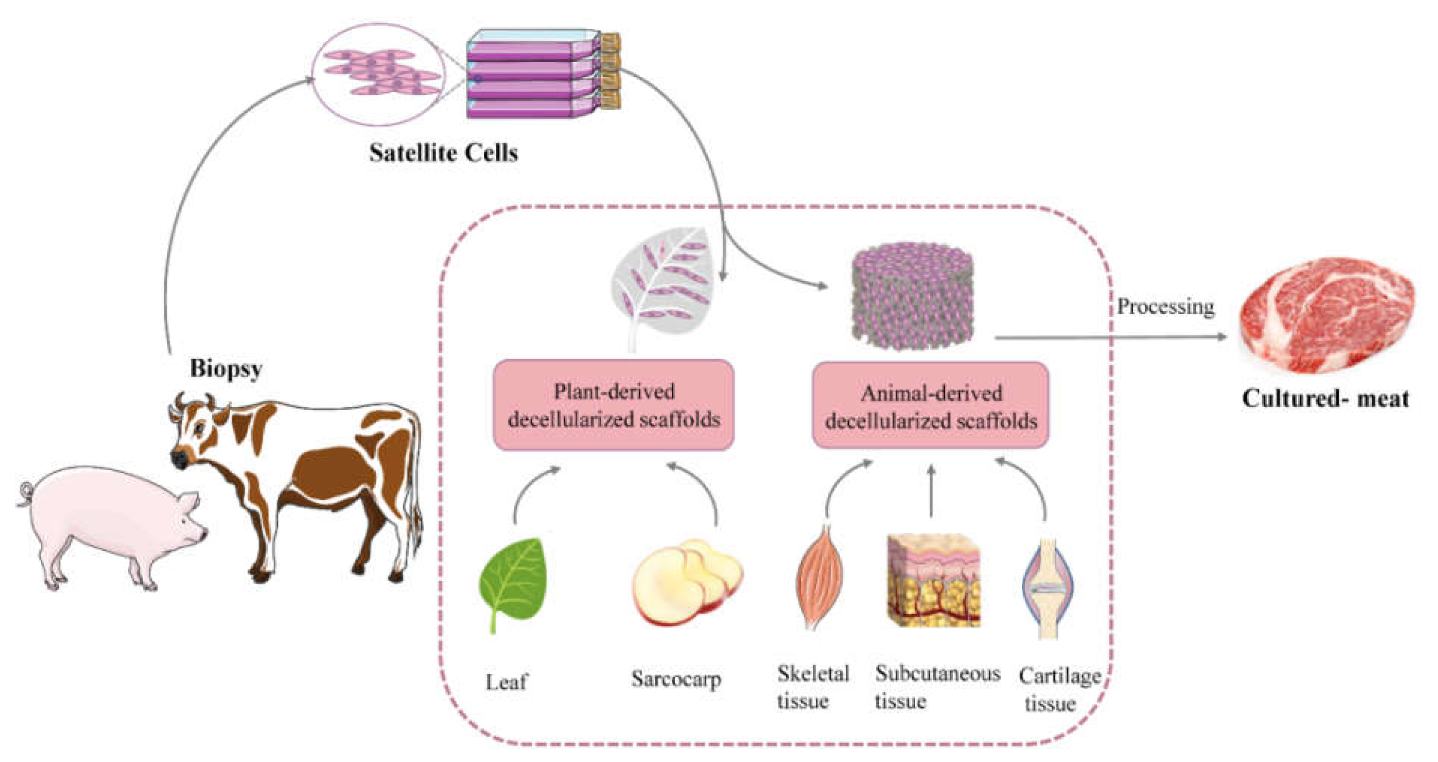Bioengineering 09 00787 g001 Bioengineering 09 00787 g001