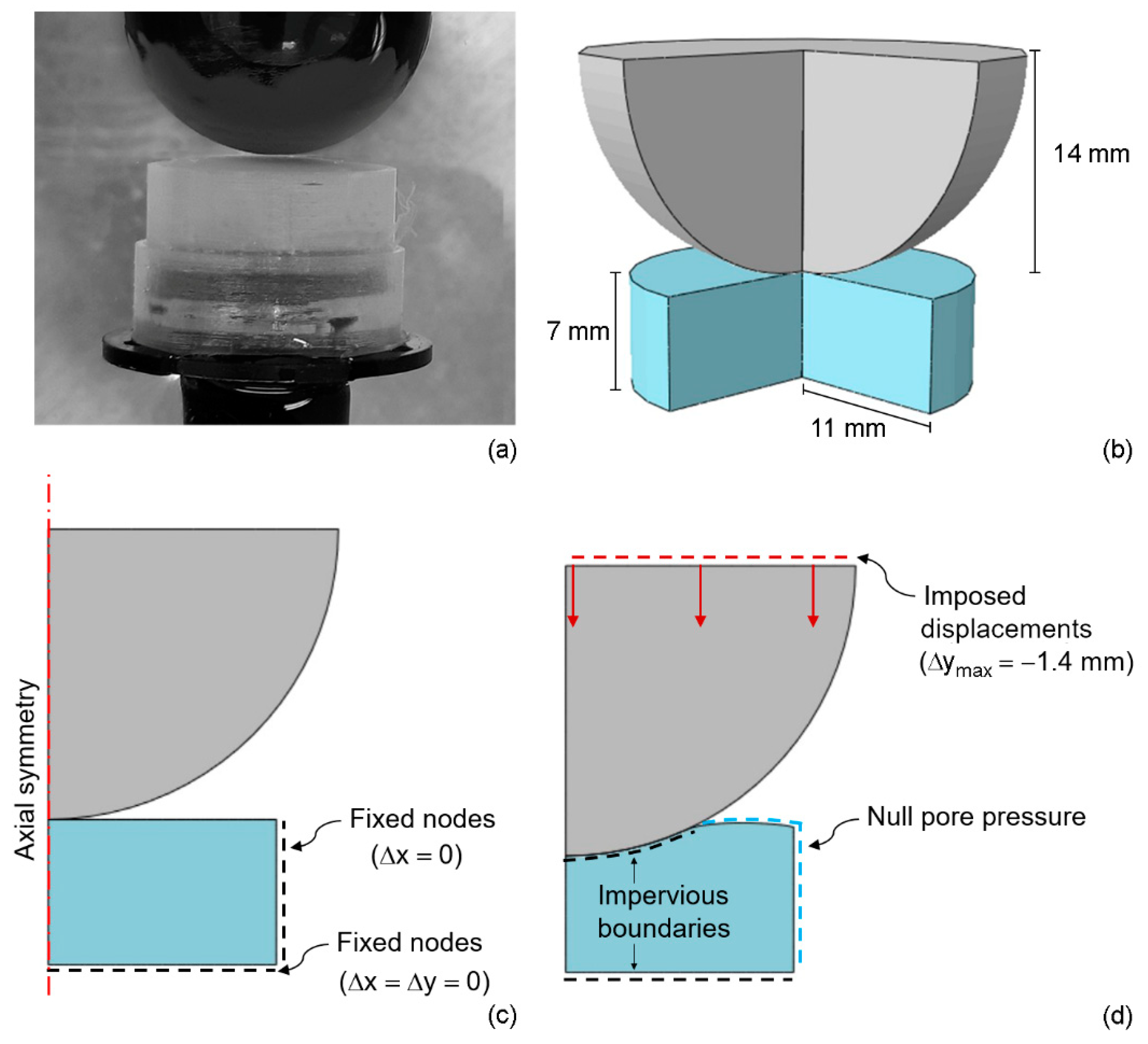 Bioengineering 09 00789 g001 Bioengineering 09 00789 g001