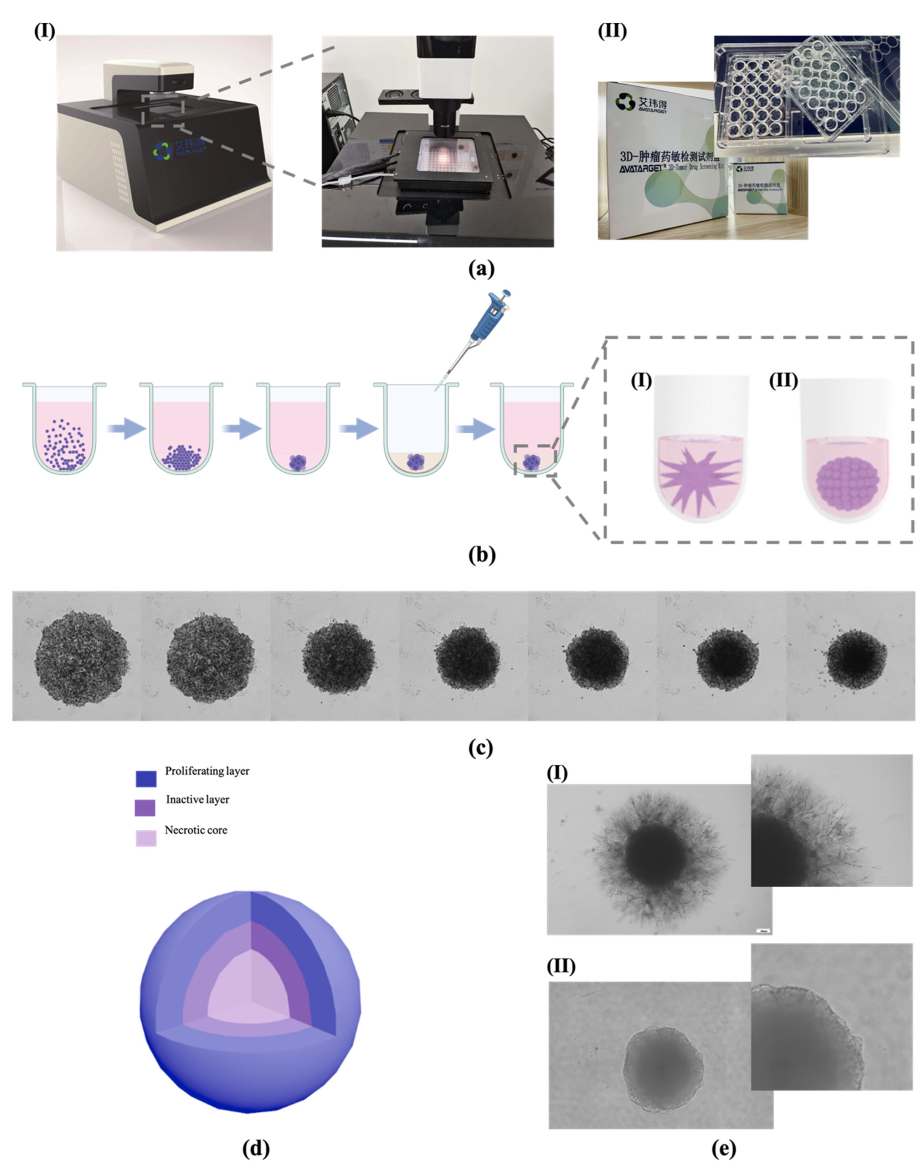 Bioengineering 09 00792 g001