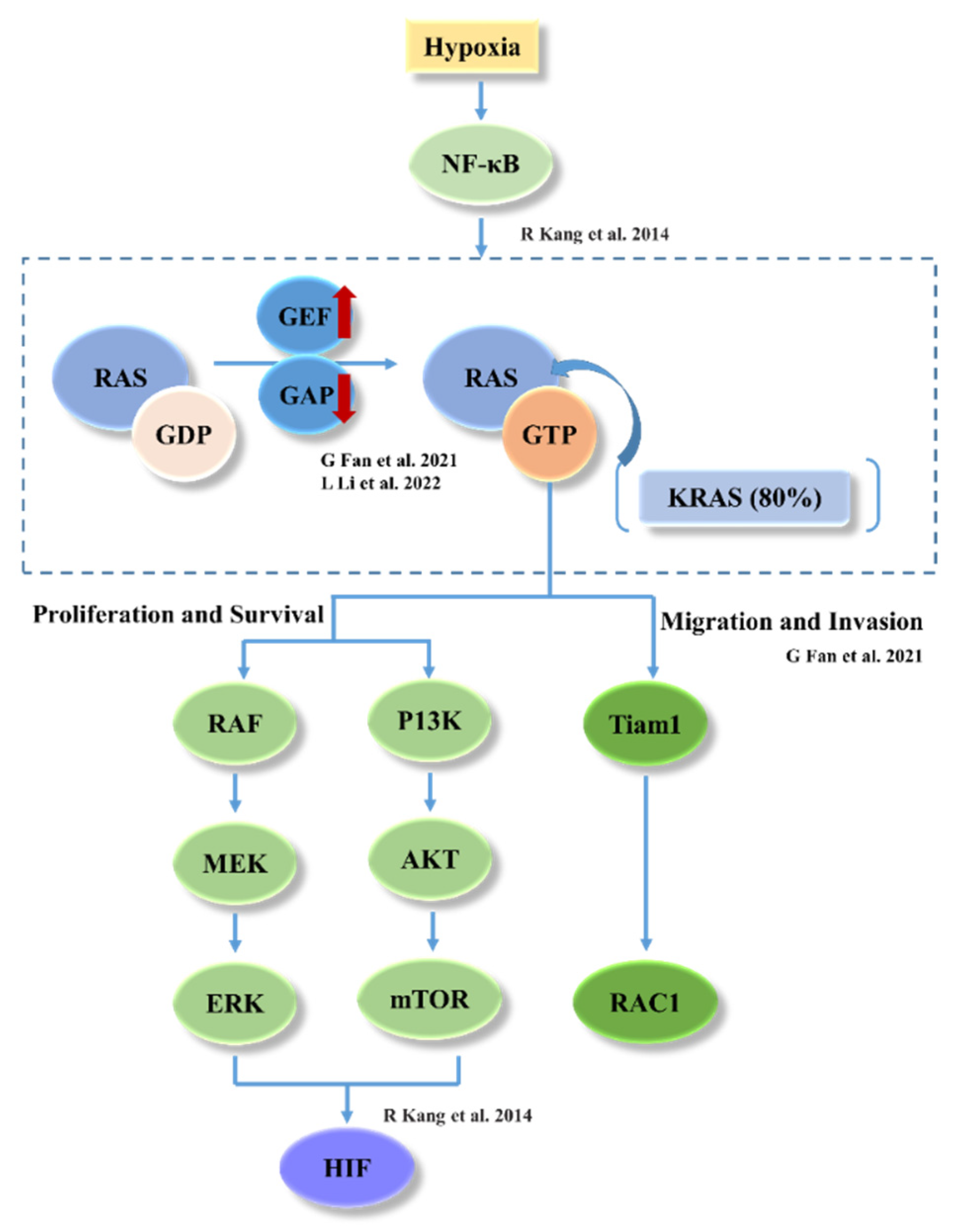 Bioengineering 09 00792 g006