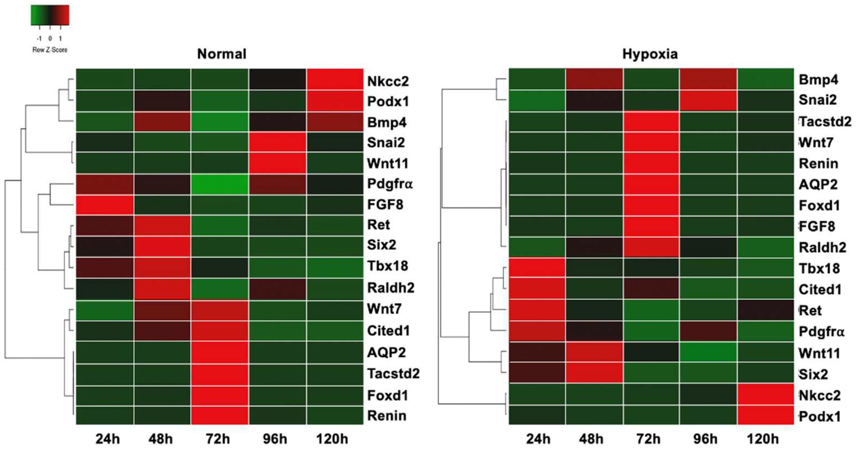 Bioengineering 09 00801 g006