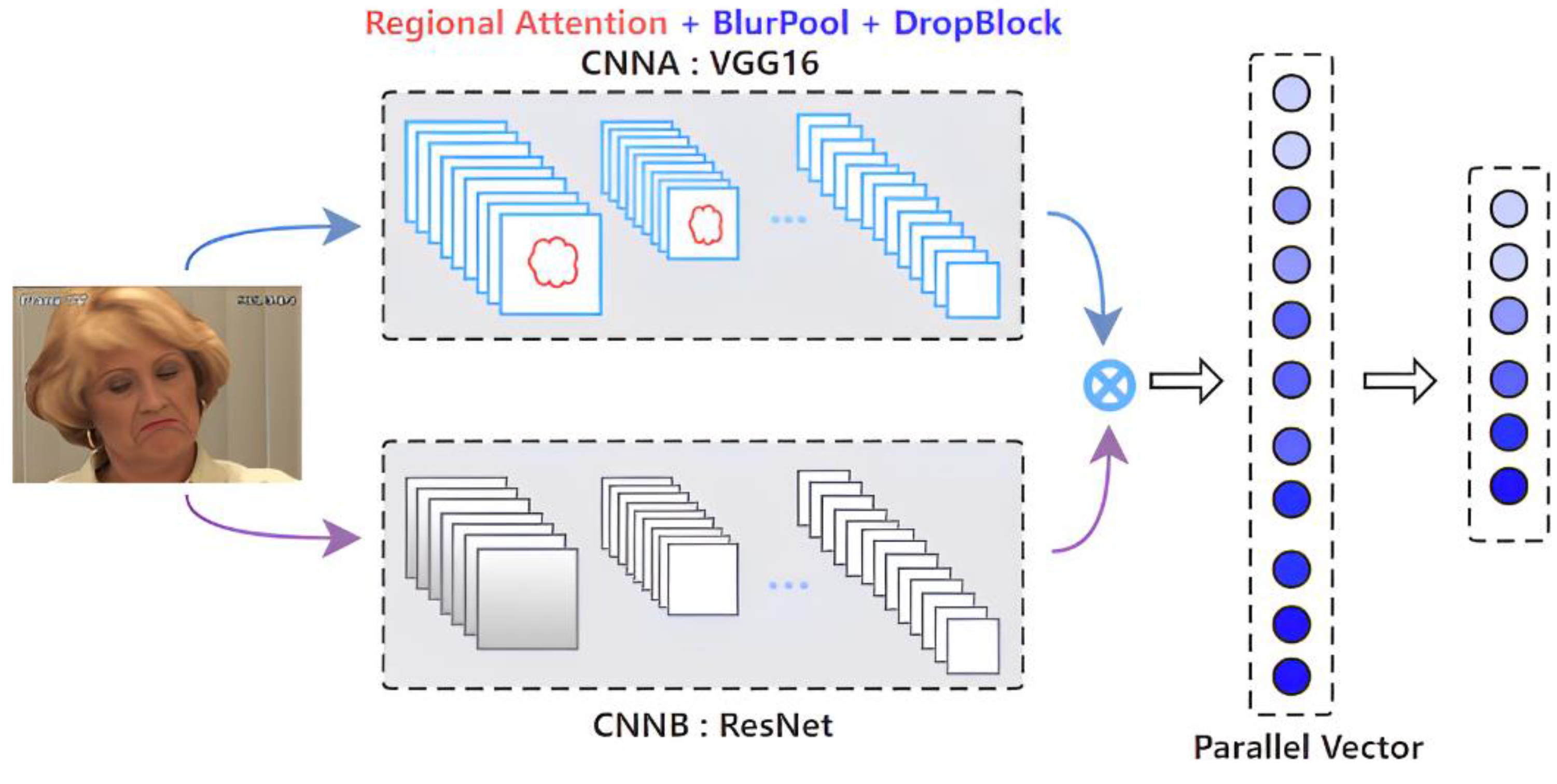 Bioengineering 09 00804 g001
