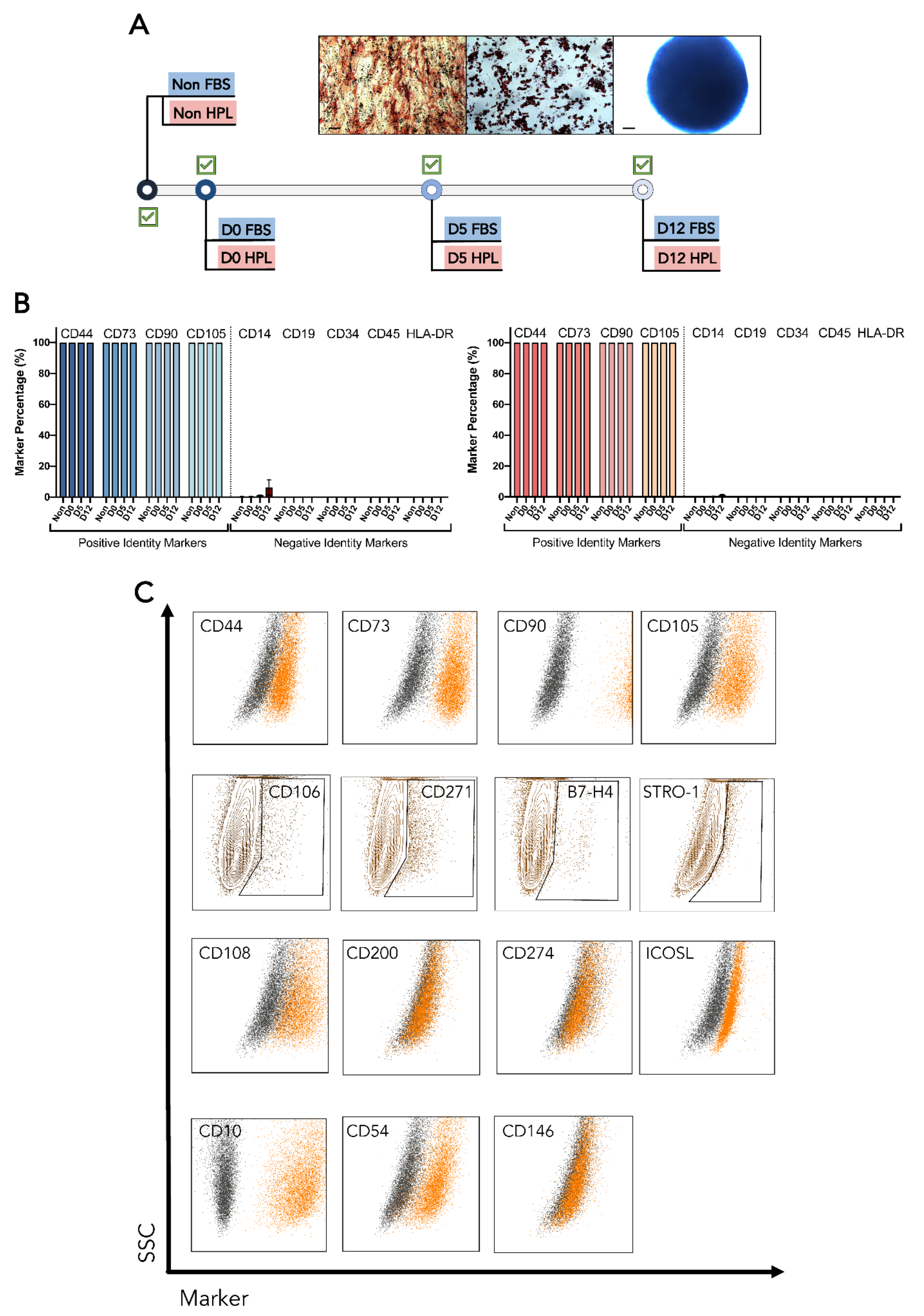 Bioengineering 09 00805 g003