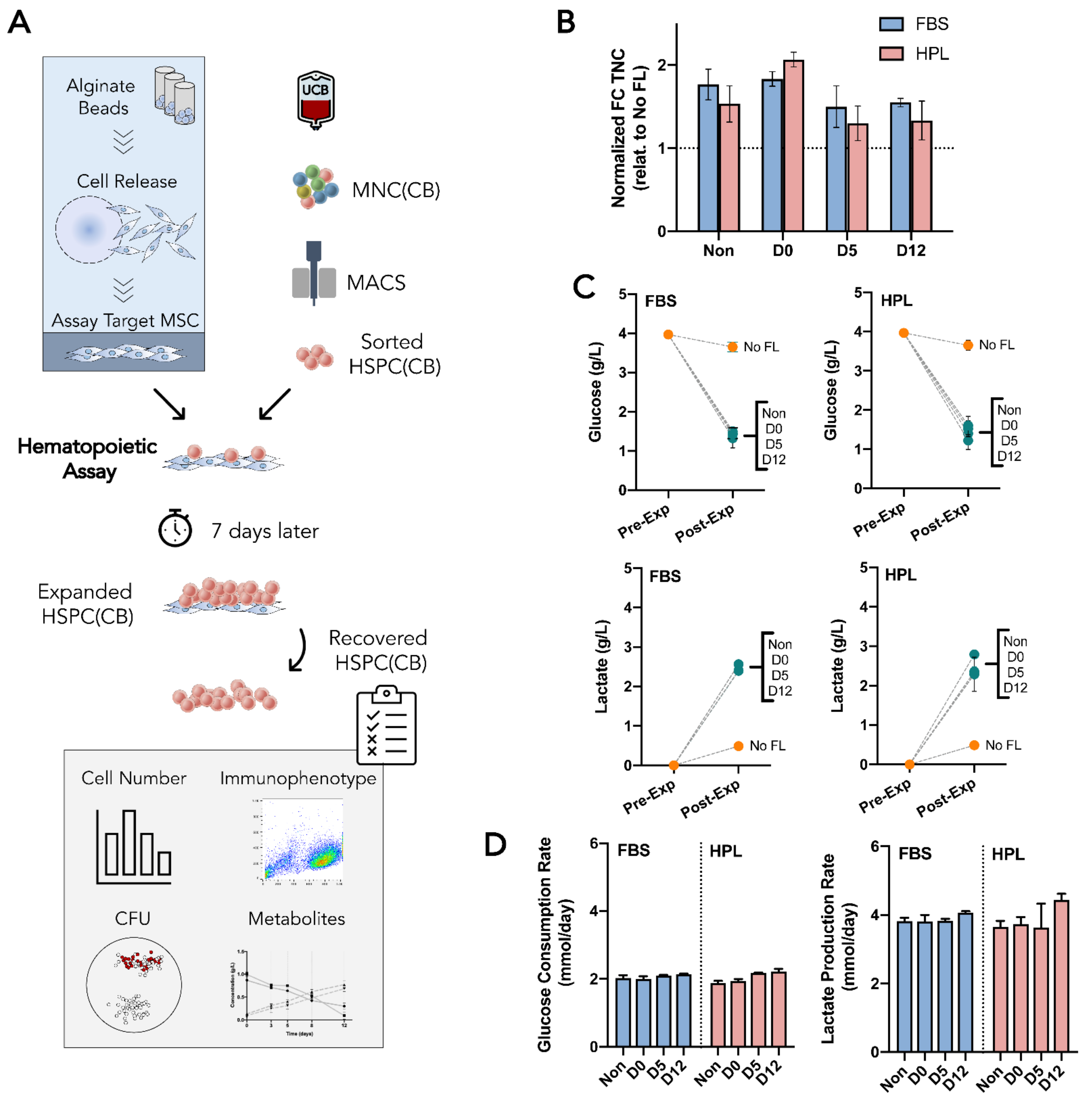 Bioengineering 09 00805 g005