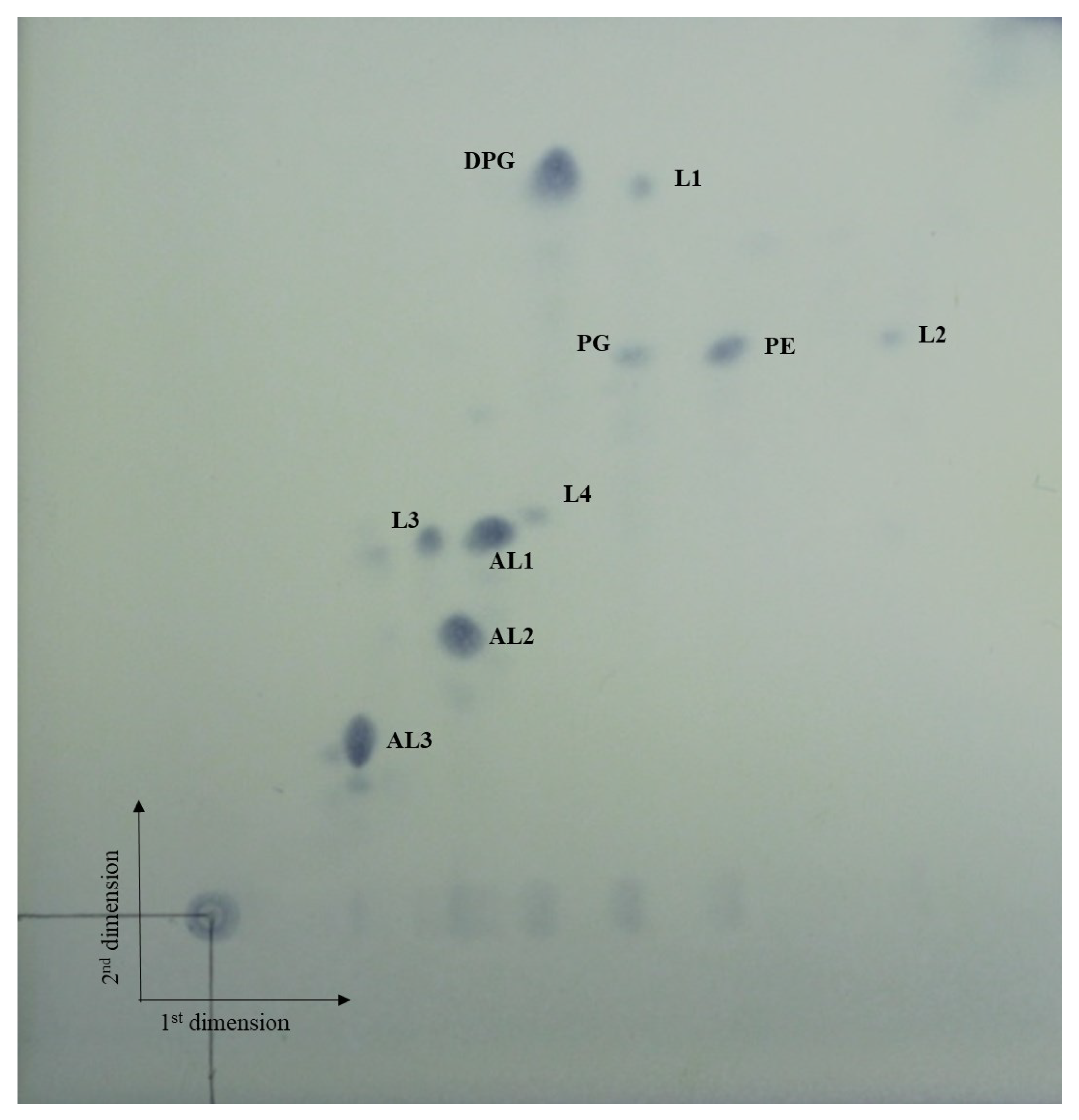 Bioengineering 09 00812 g002