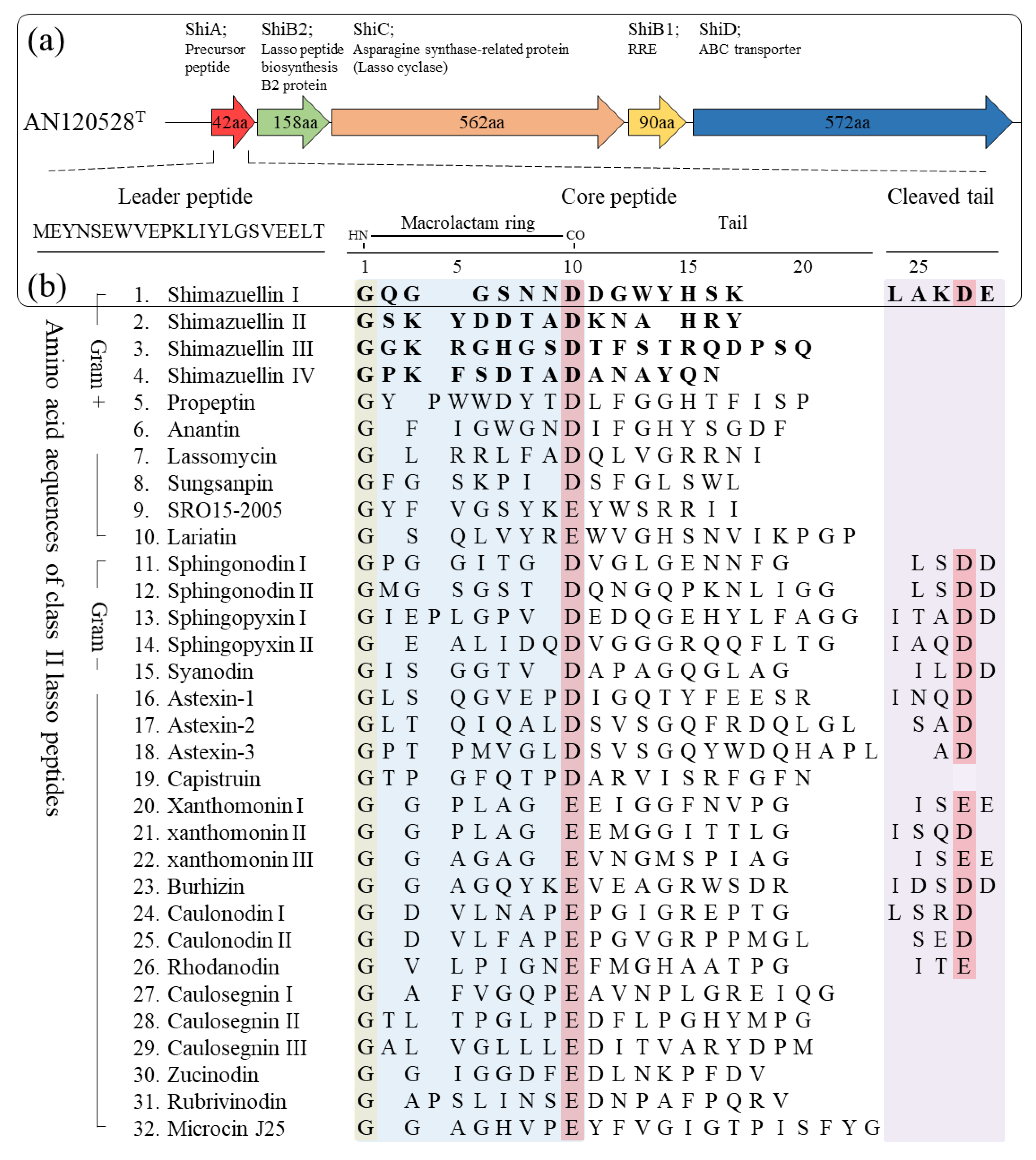 Bioengineering 09 00812 g004