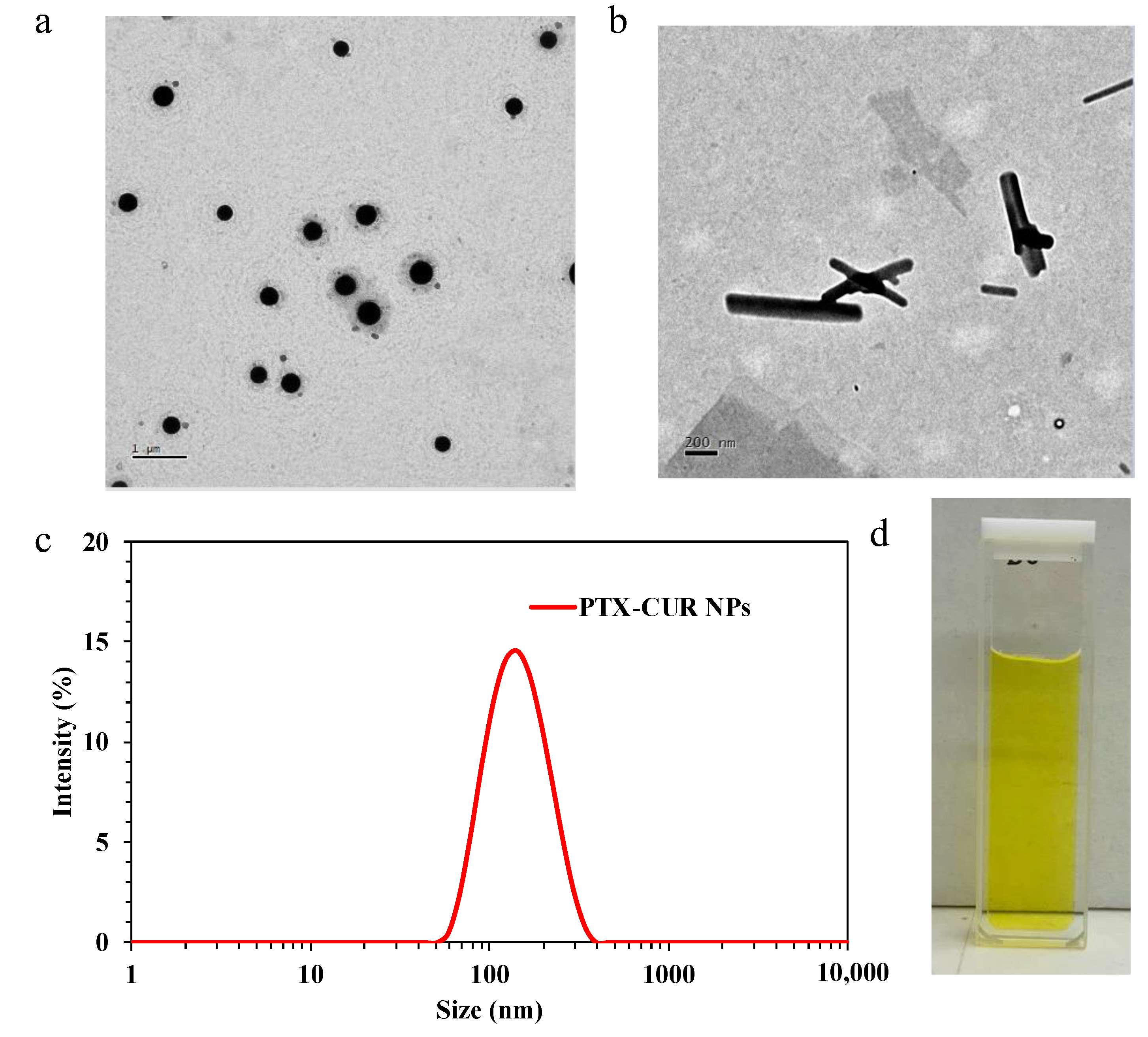 Bioengineering 09 00815 g002 Bioengineering 09 00815 g002