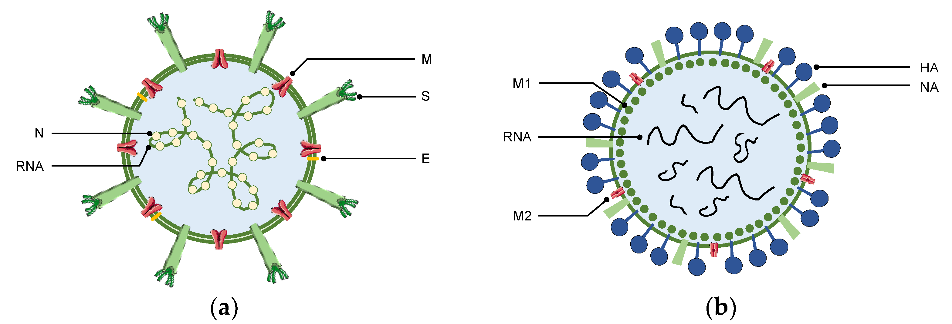Bioengineering 09 00816 g001 Bioengineering 09 00816 g001