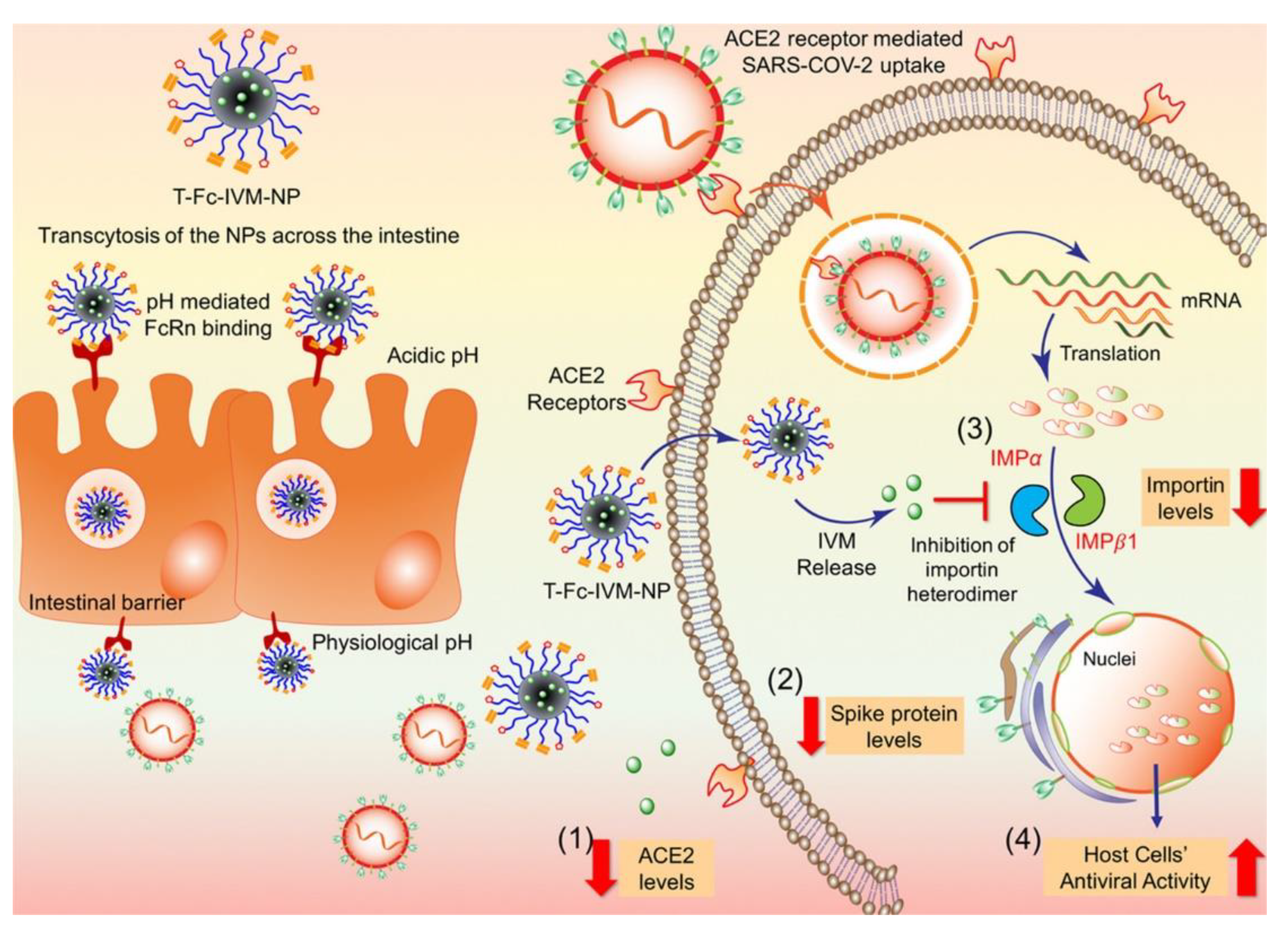 Bioengineering 09 00816 g004 Bioengineering 09 00816 g004