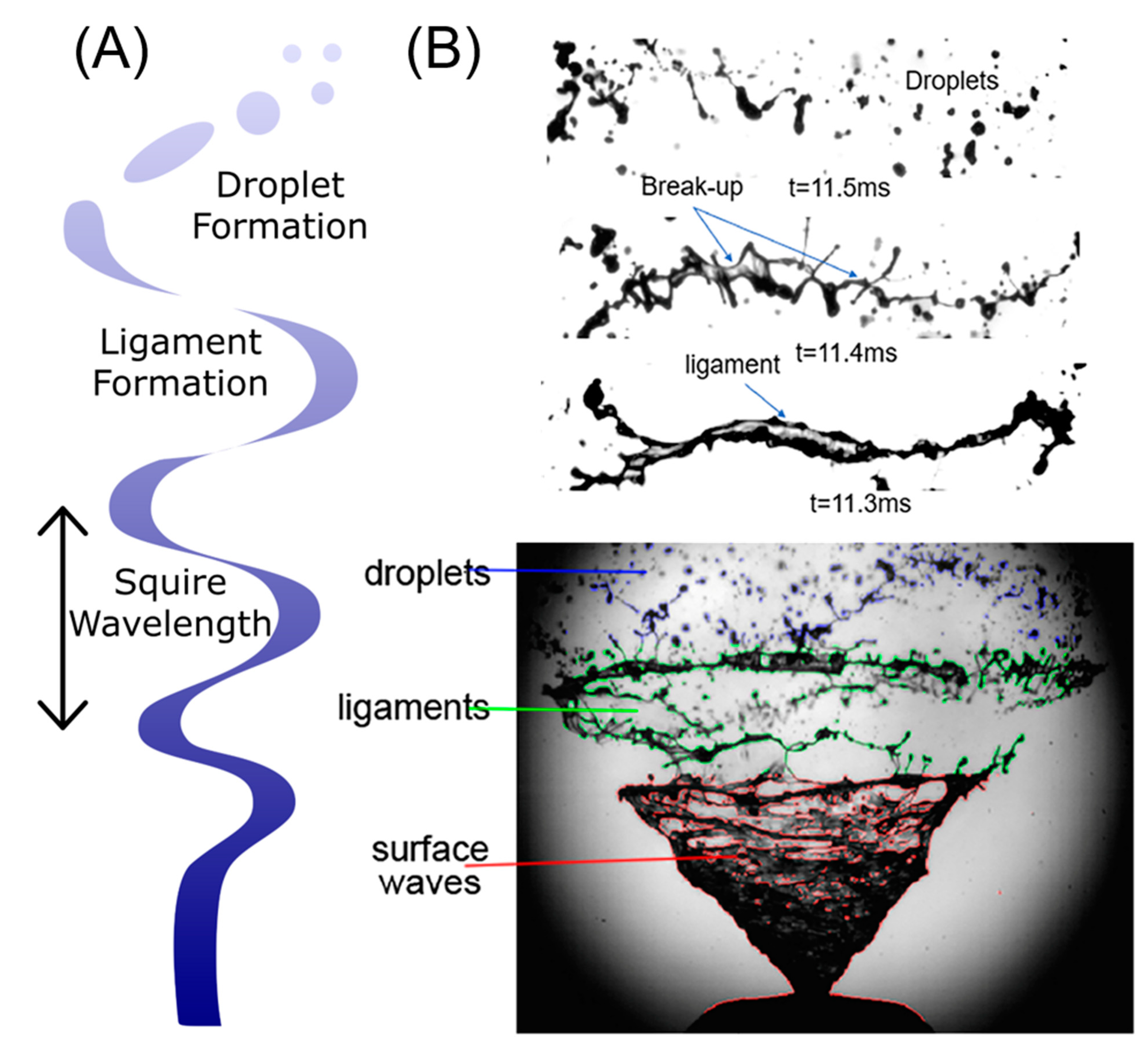 Bioengineering 10 00003 g003 Bioengineering 10 00003 g003