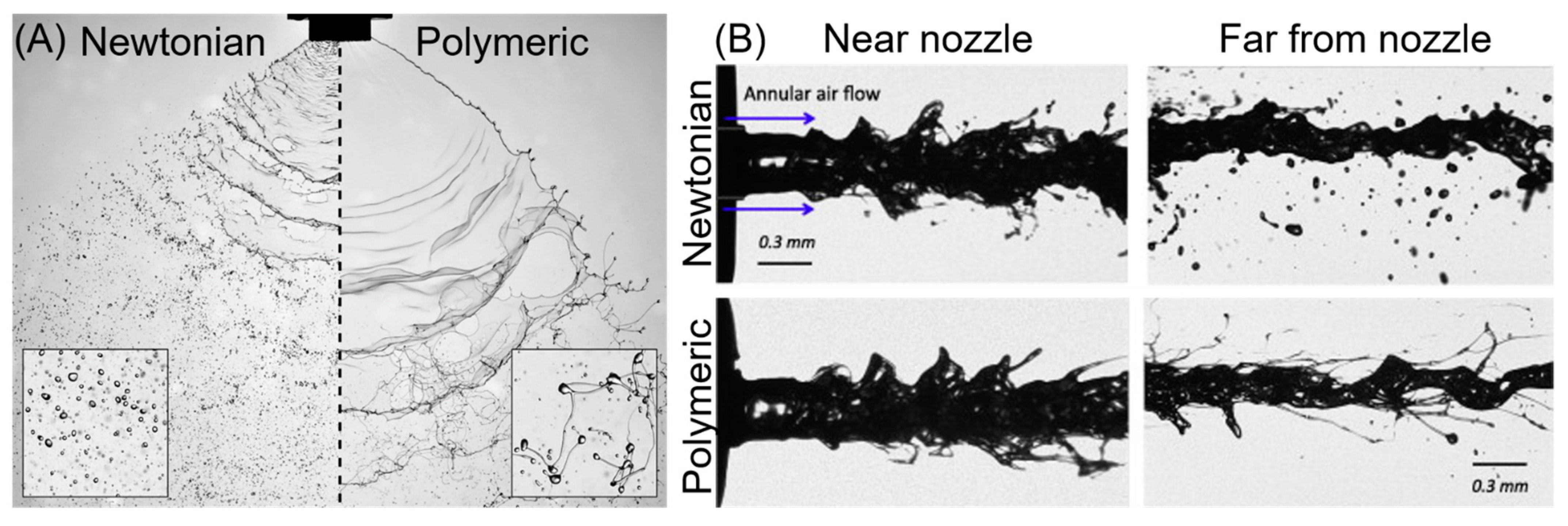 Bioengineering 10 00003 g004