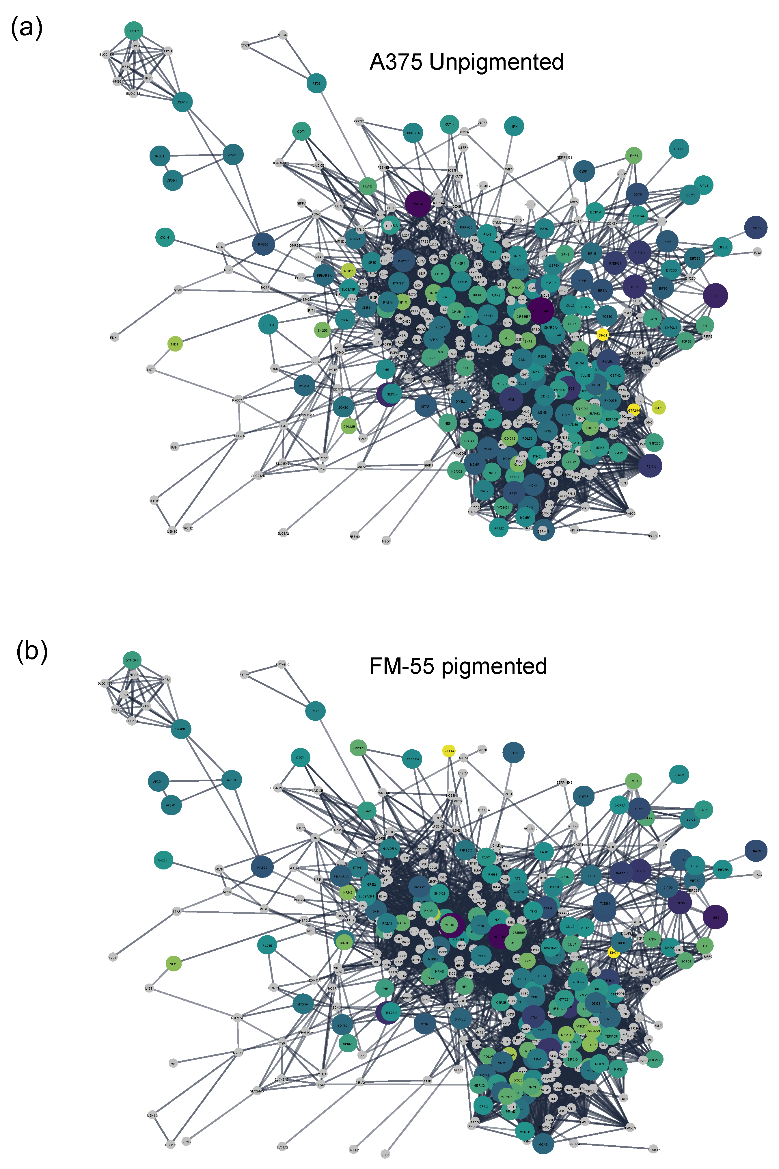 Bioengineering 10 00013 g005 Bioengineering 10 00013 g005