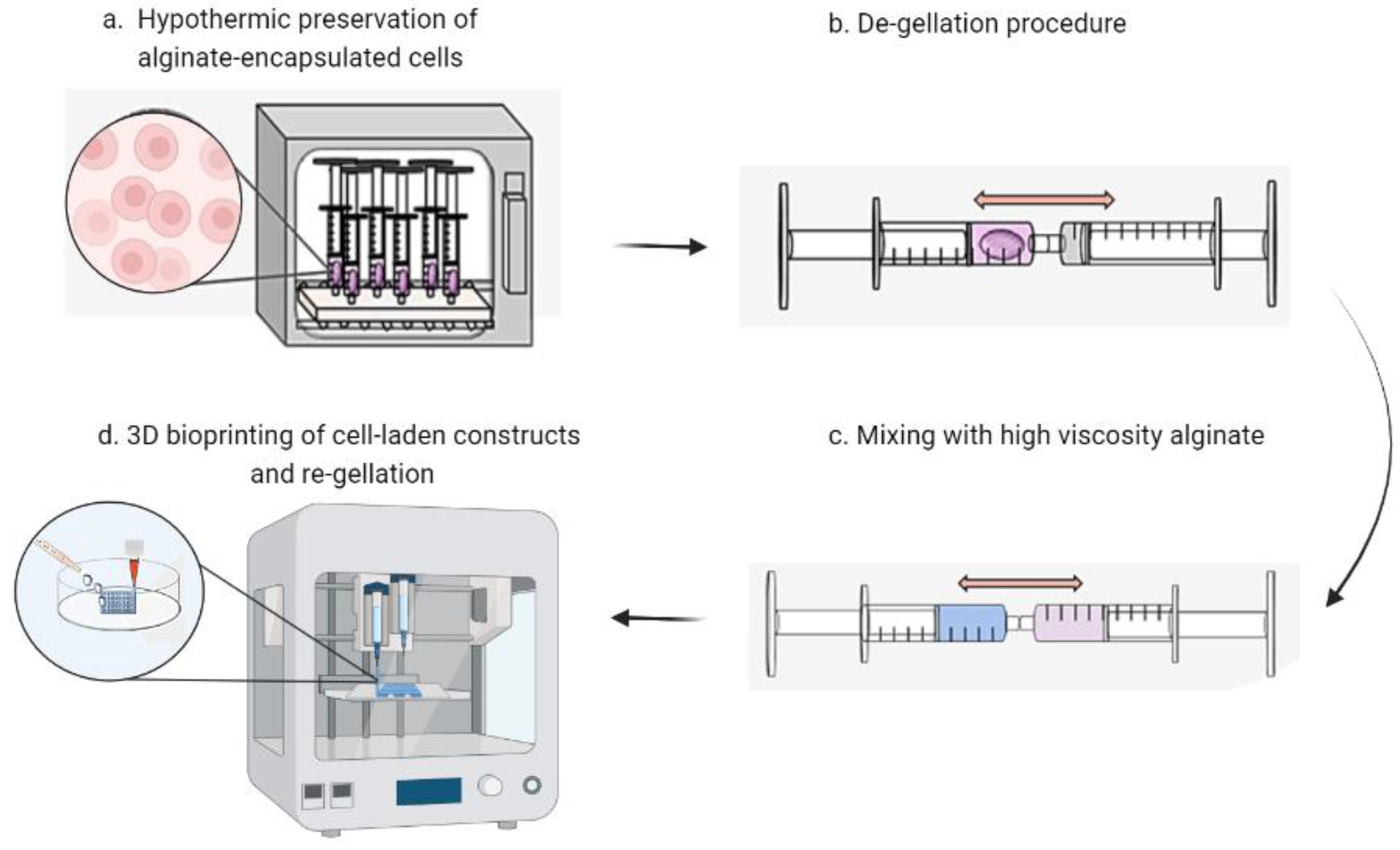 Bioengineering 10 00023 g001 Bioengineering 10 00023 g001