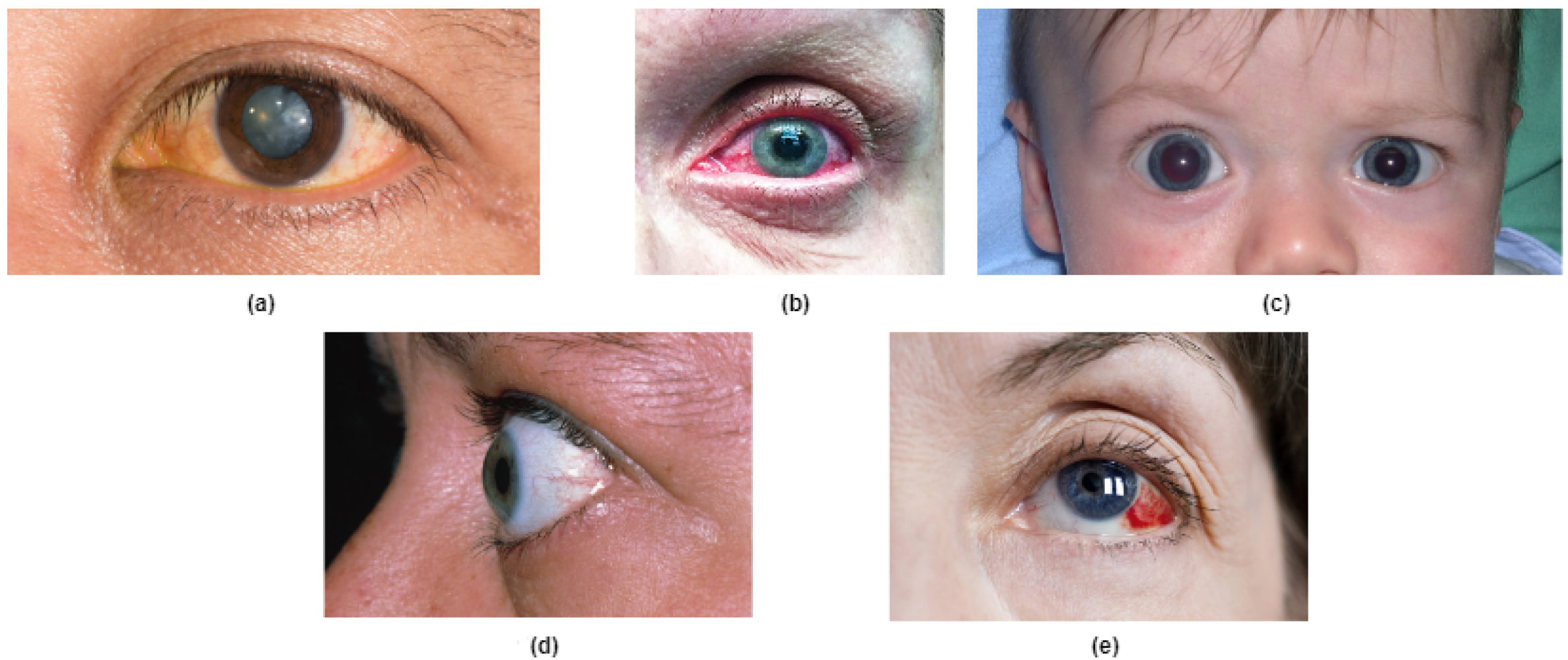 Bioengineering 10 00025 g001 Bioengineering 10 00025 g001