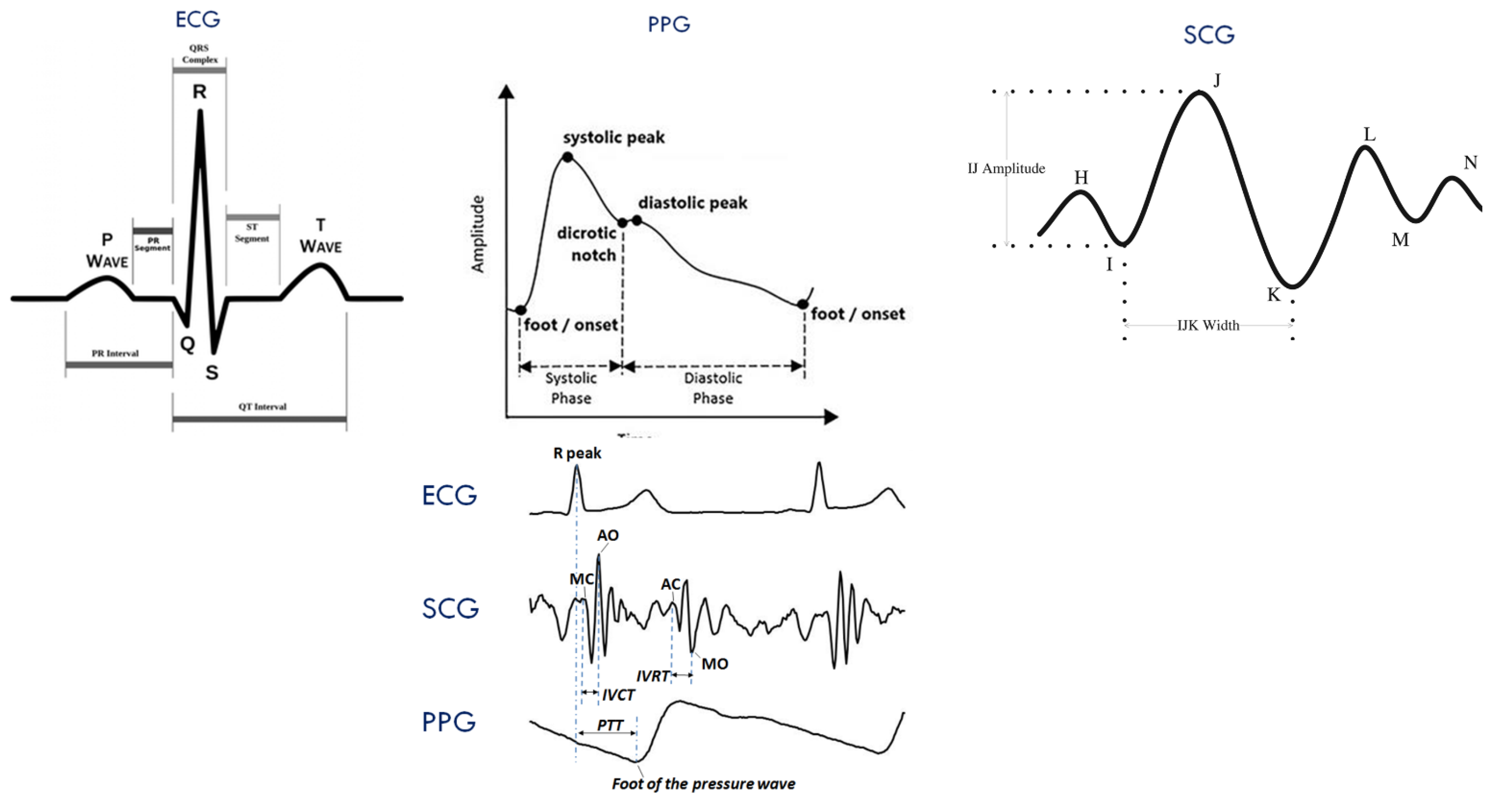 Bioengineering 10 00027 g004
