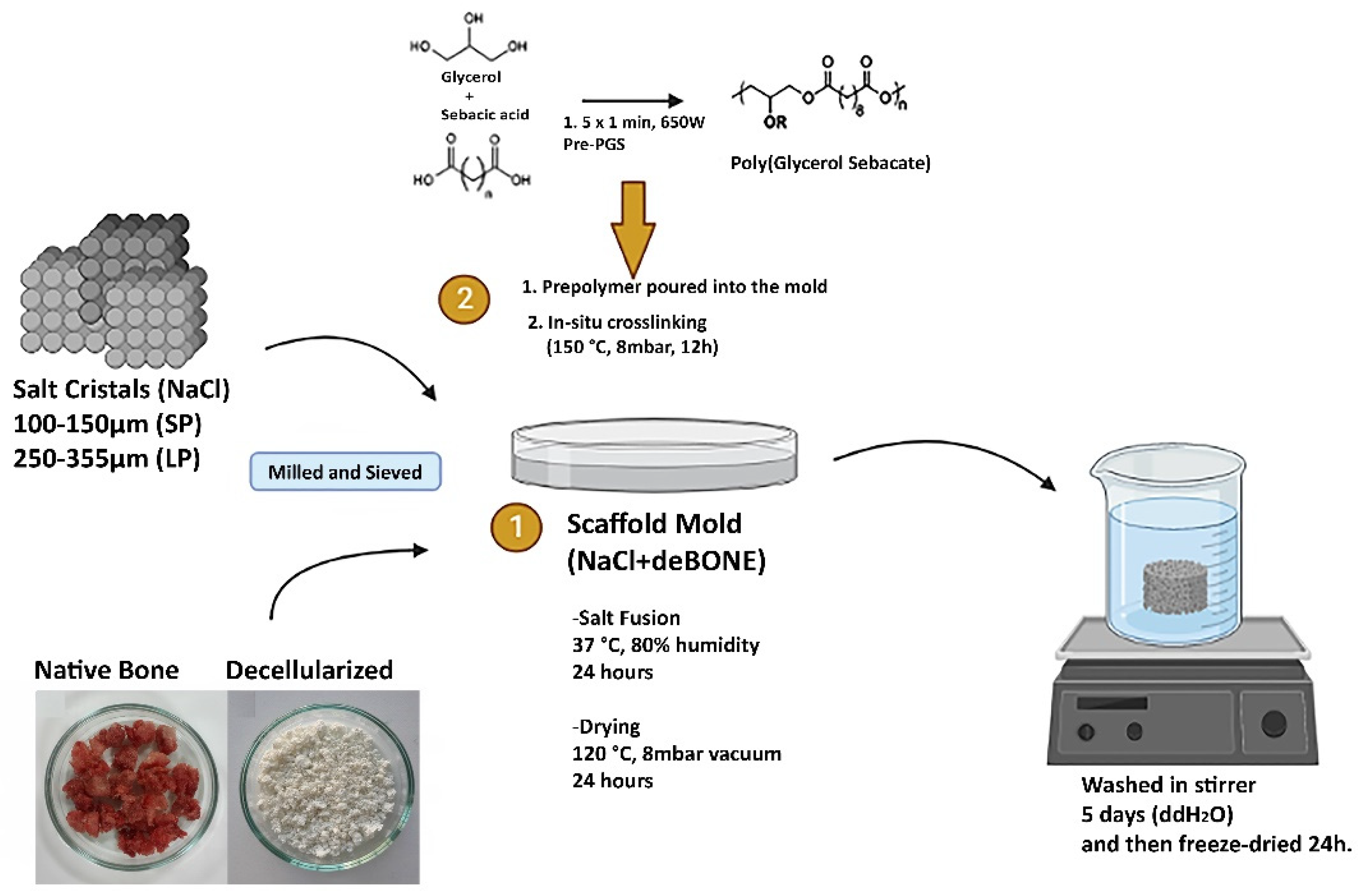 Bioengineering 10 00030 g001 Bioengineering 10 00030 g001
