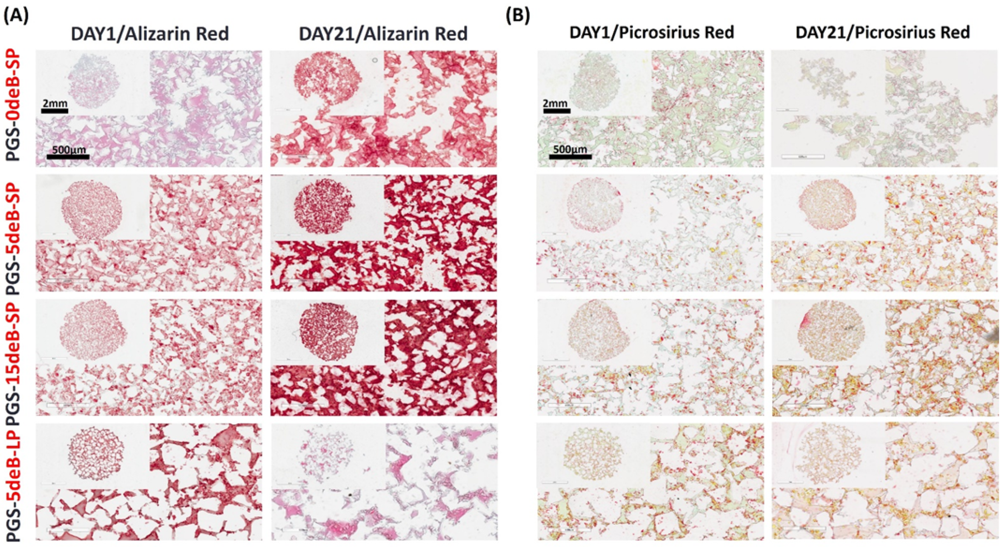 Bioengineering 10 00030 g013 Bioengineering 10 00030 g013