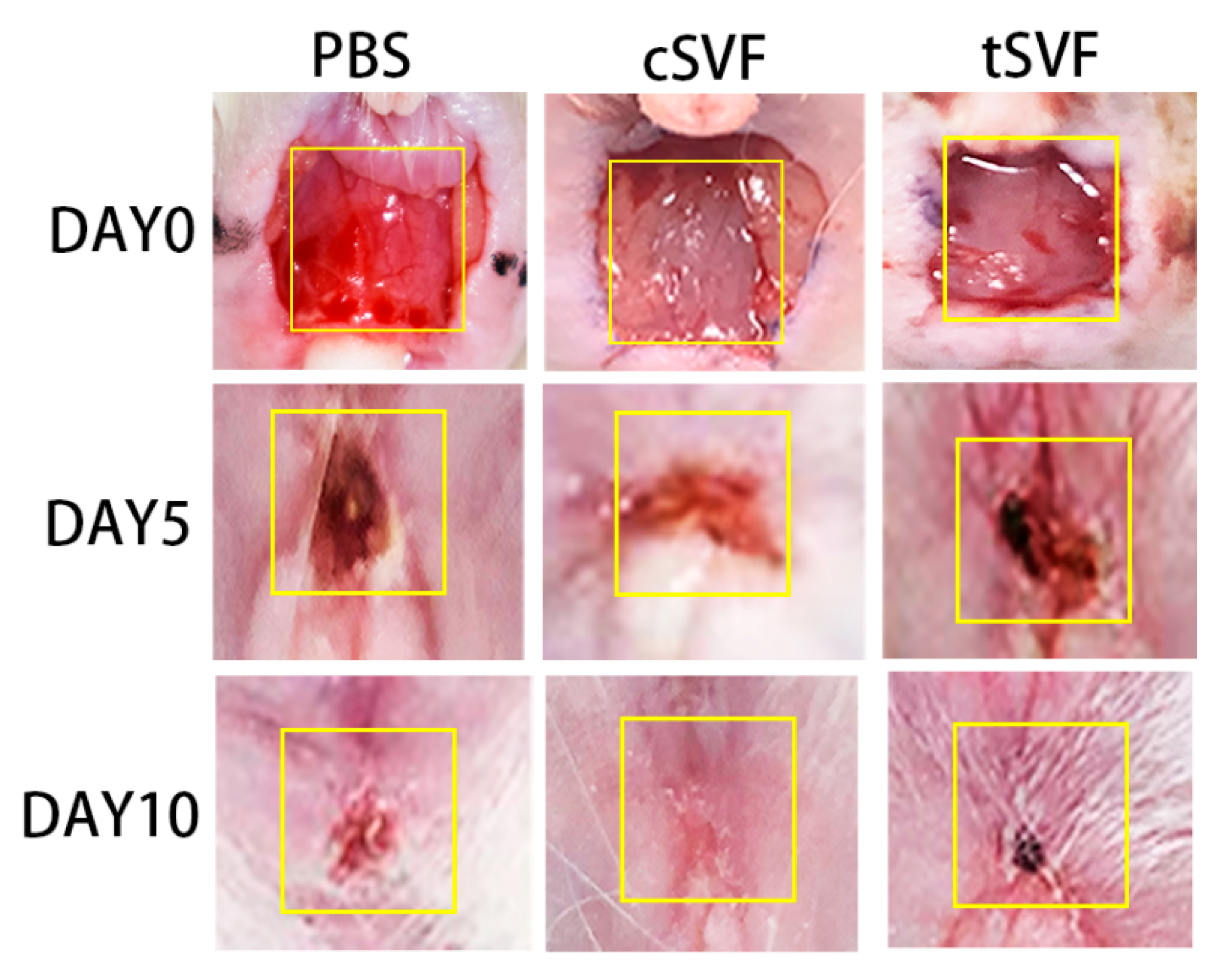 Bioengineering 10 00032 g005 Bioengineering 10 00032 g005