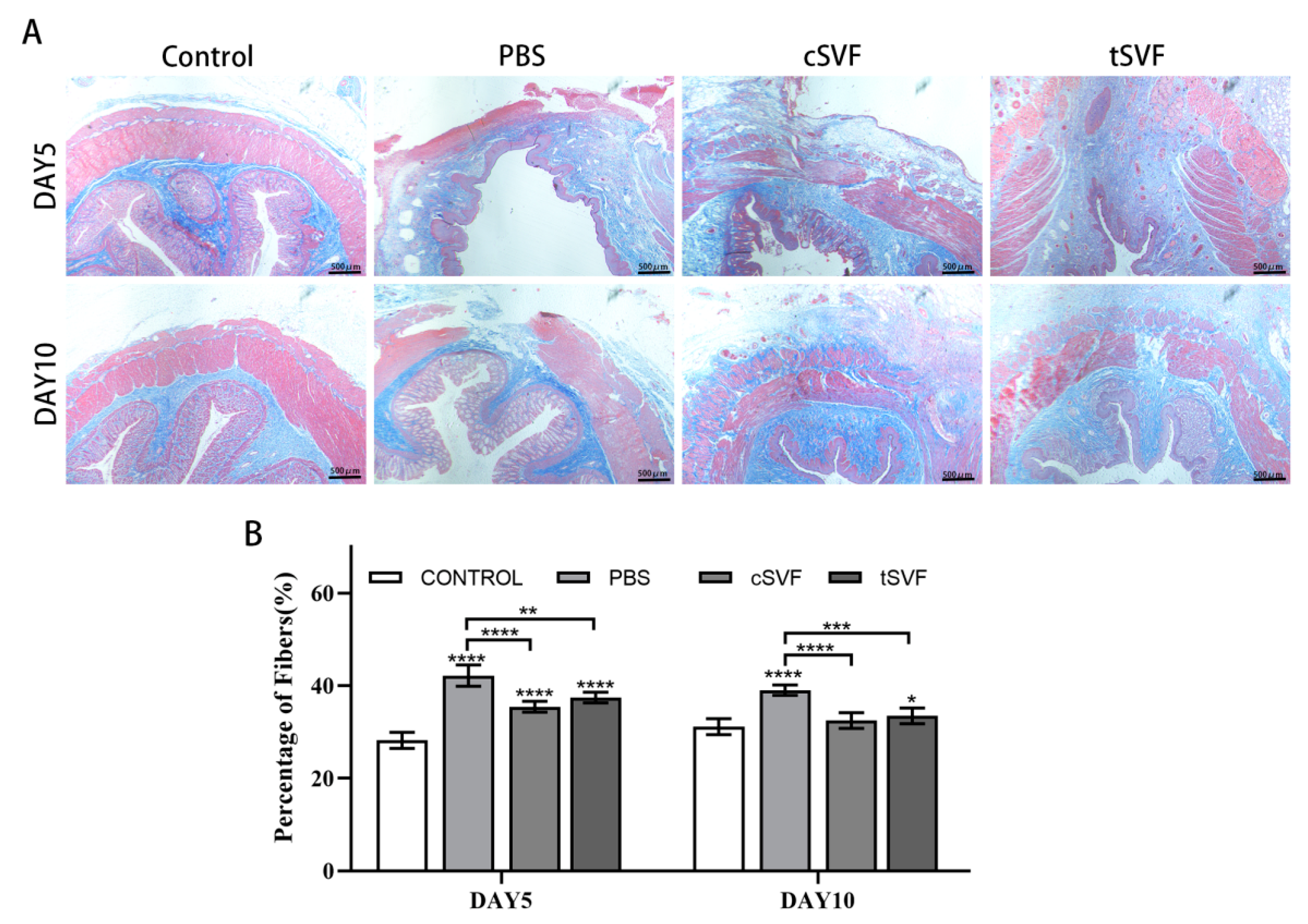 Bioengineering 10 00032 g006 Bioengineering 10 00032 g006