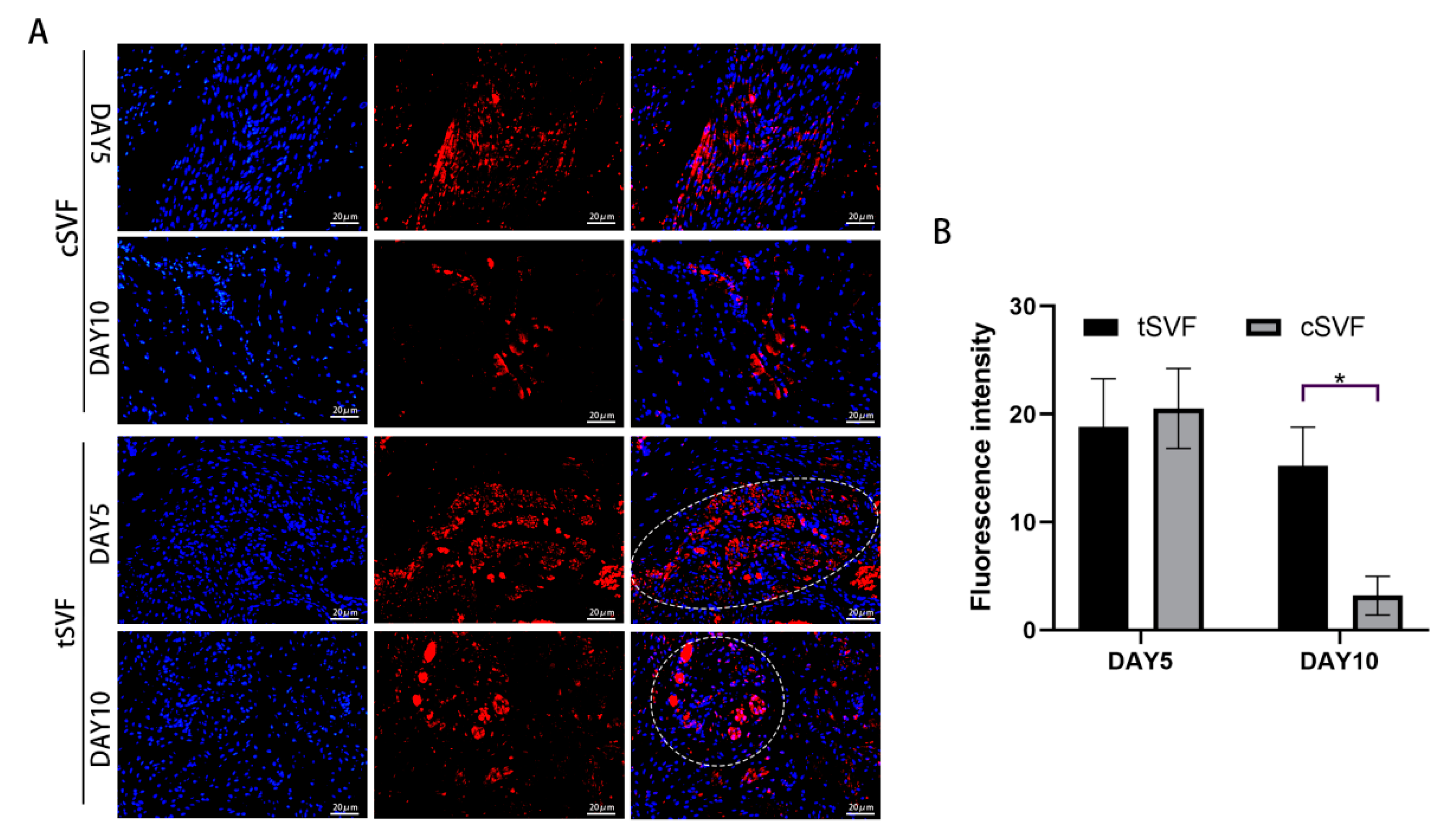 Bioengineering 10 00032 g007 Bioengineering 10 00032 g007