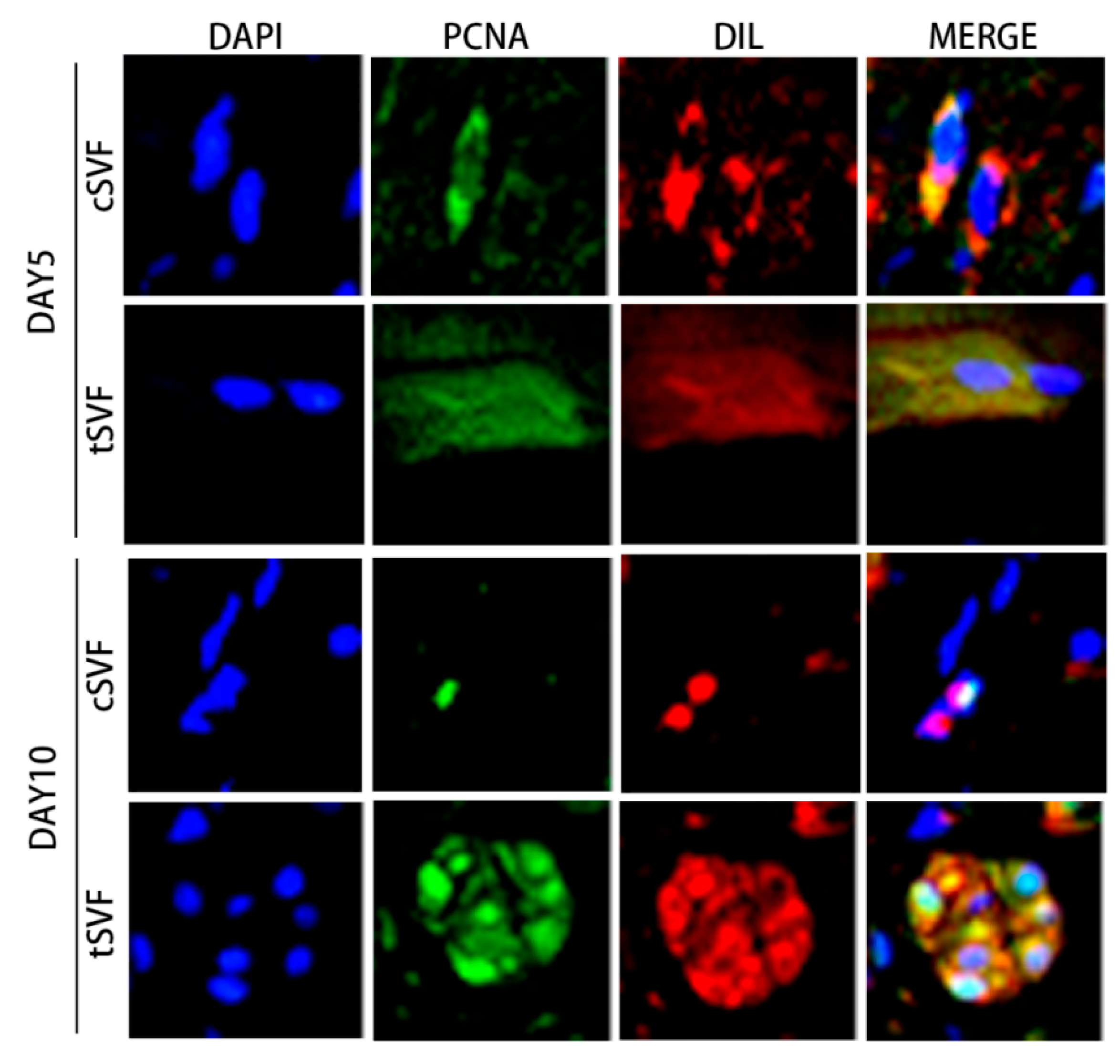 Bioengineering 10 00032 g008 Bioengineering 10 00032 g008