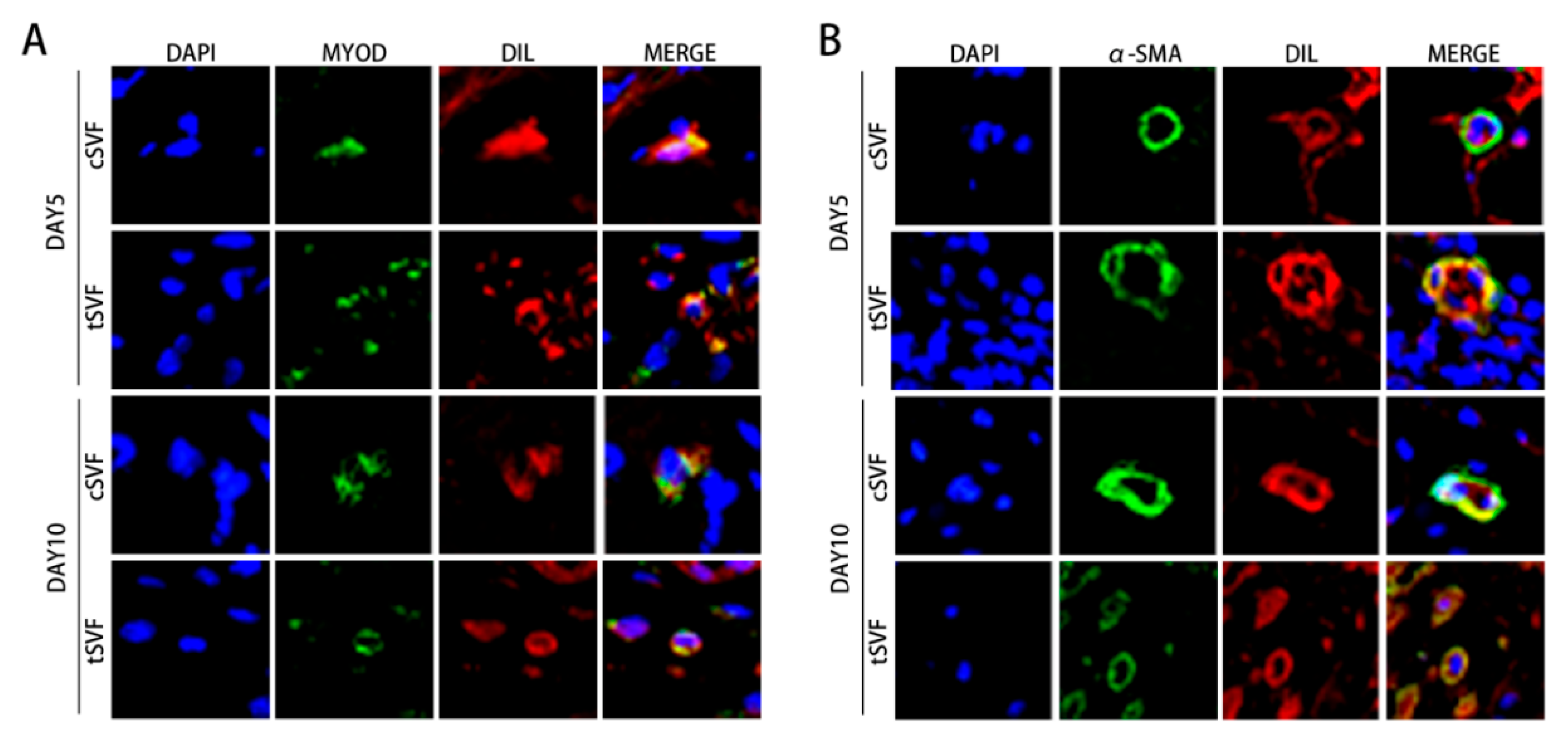 Bioengineering 10 00032 g009 Bioengineering 10 00032 g009