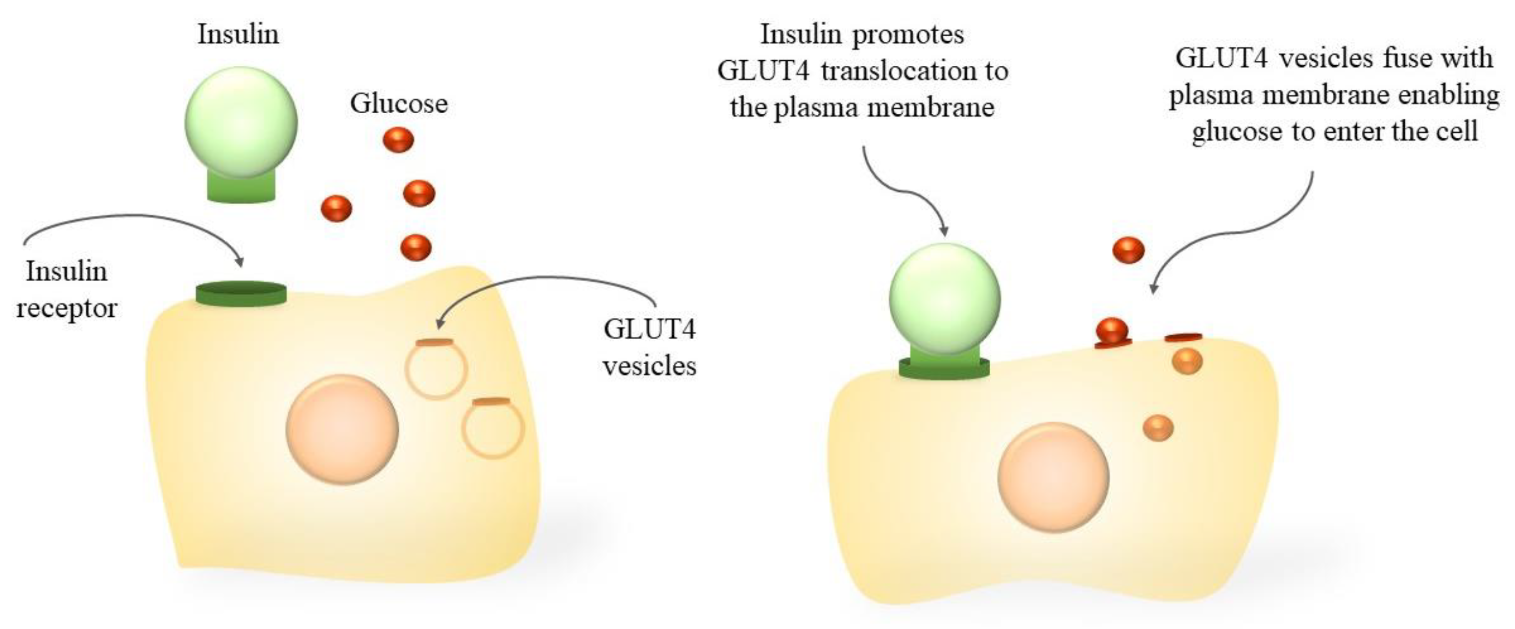 Bioengineering 10 00040 g001