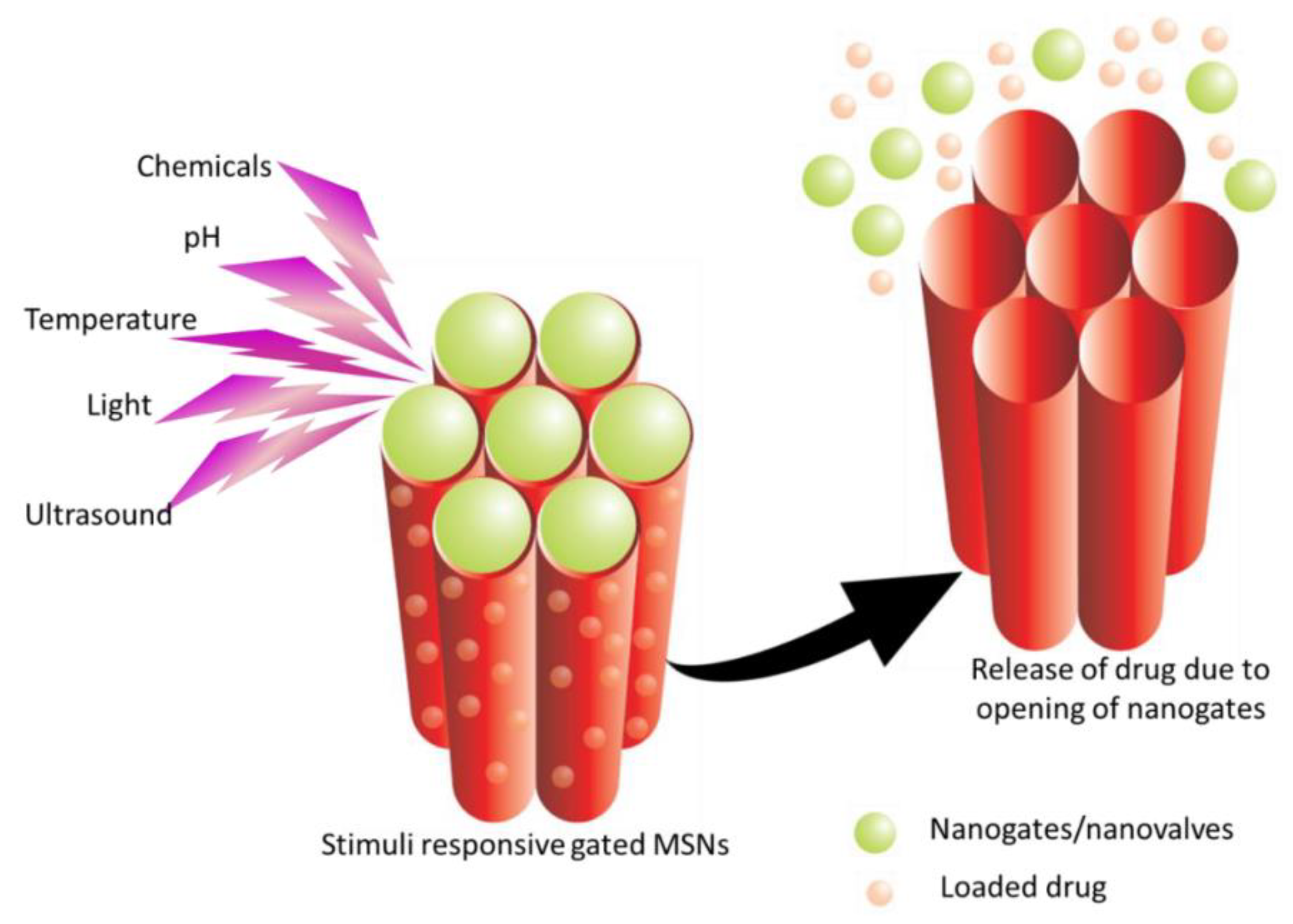 Bioengineering 10 00040 g003