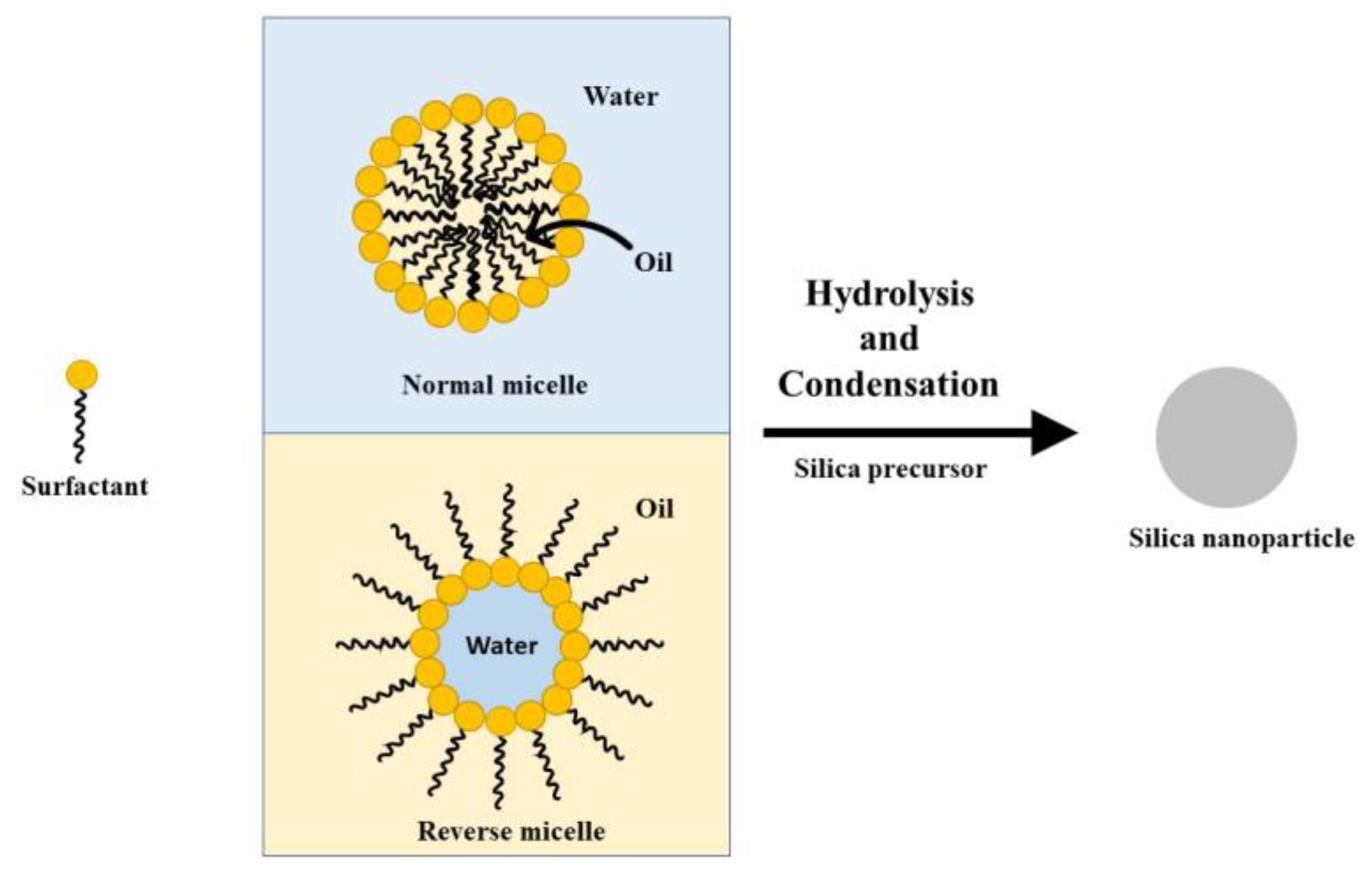 Bioengineering 10 00040 g005