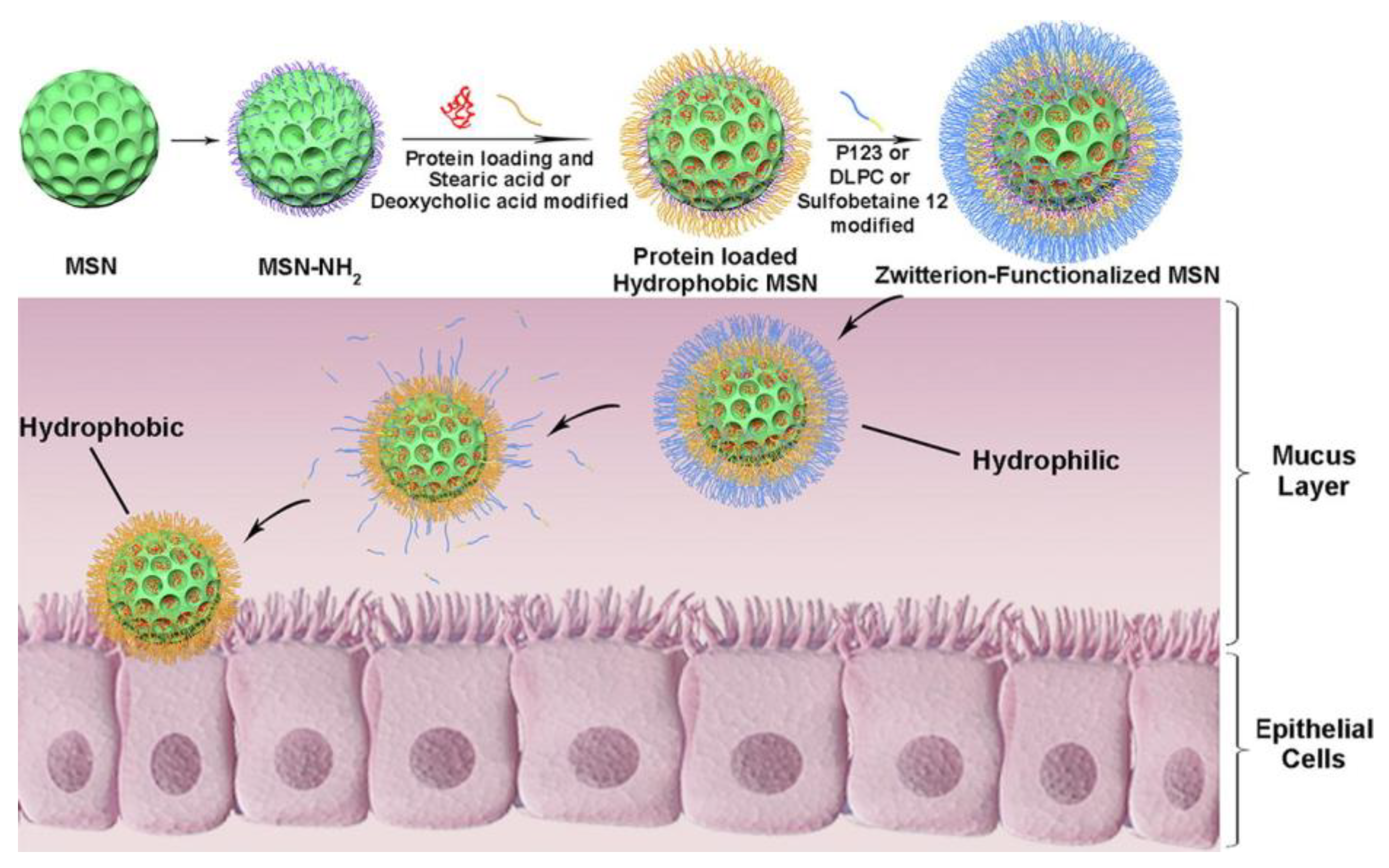Bioengineering 10 00040 g006