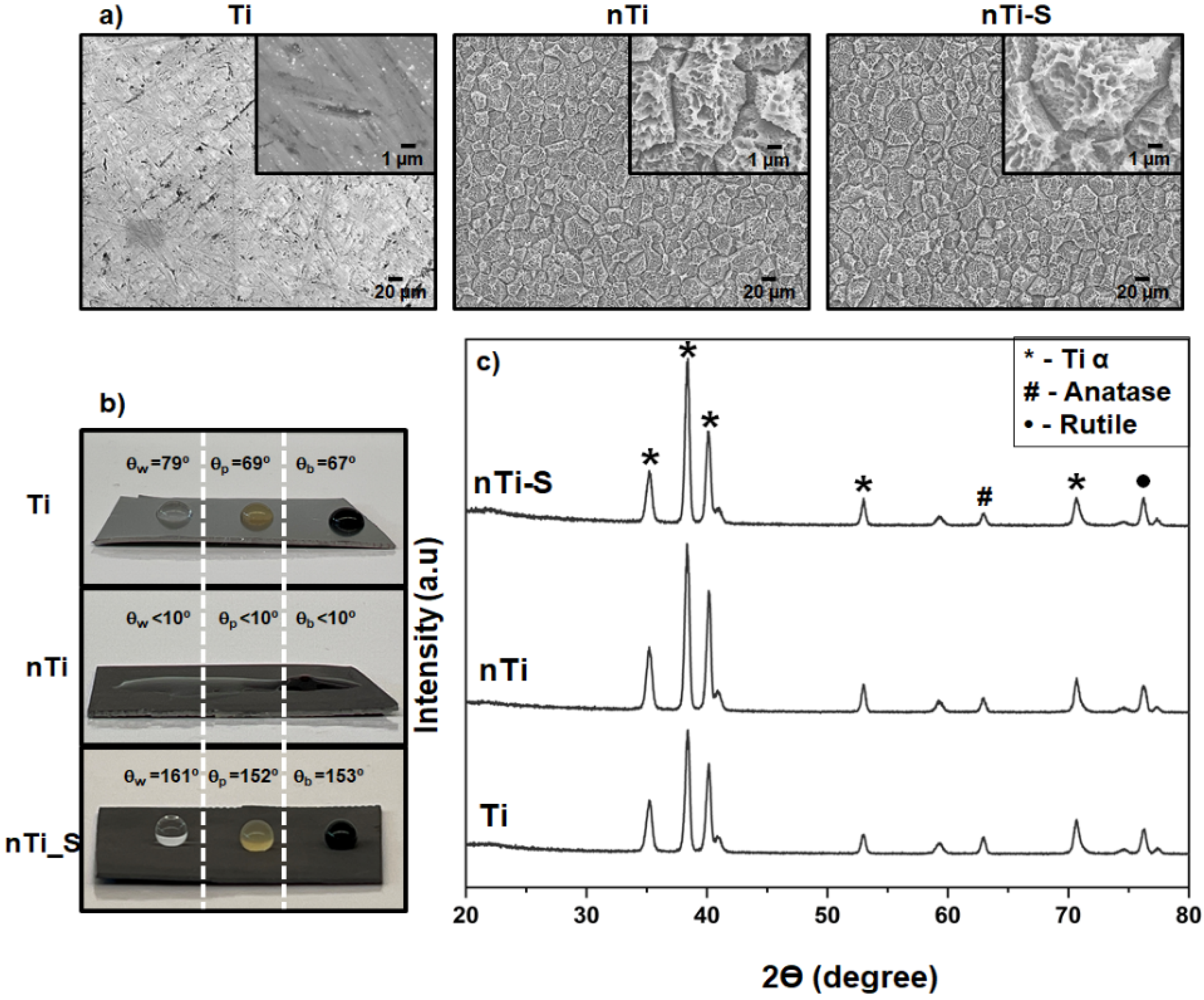 Bioengineering 10 00043 g001