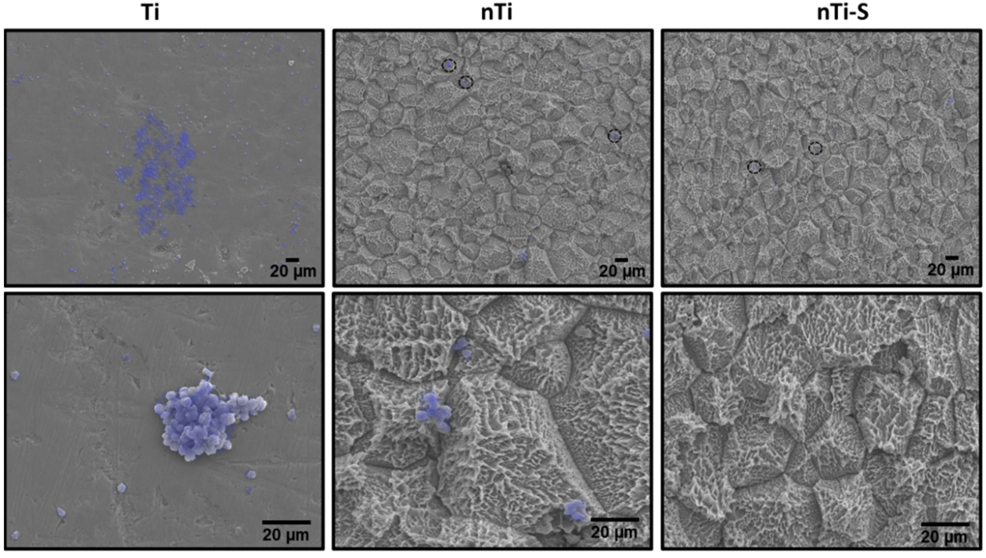 Bioengineering 10 00043 g004