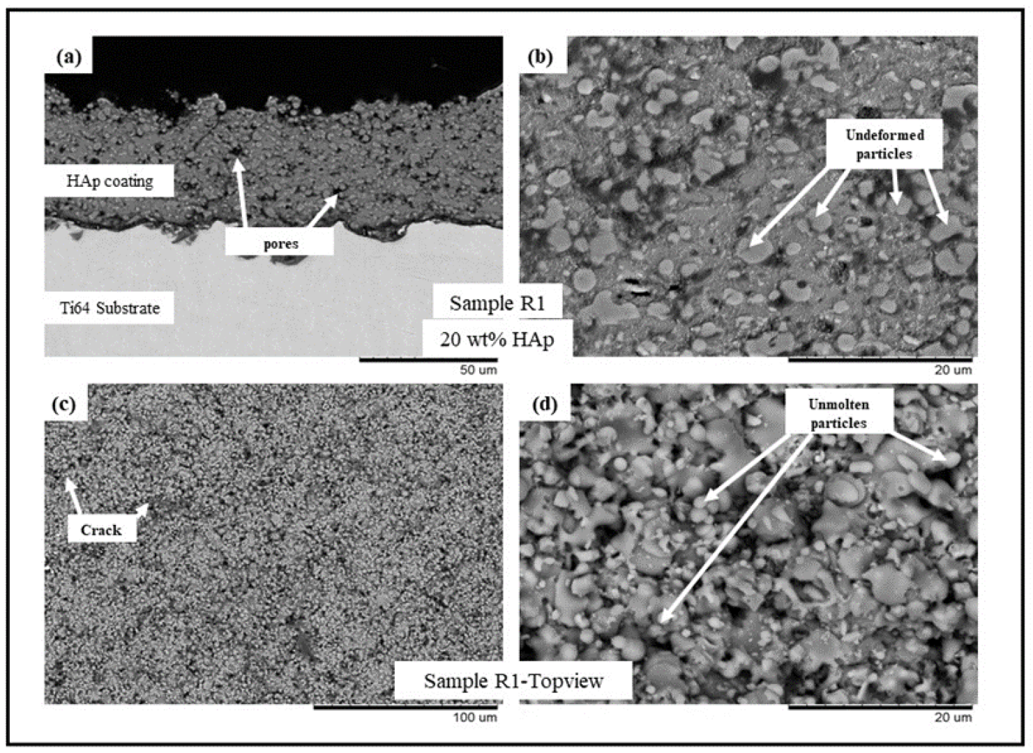 Bioengineering 10 00044 g001