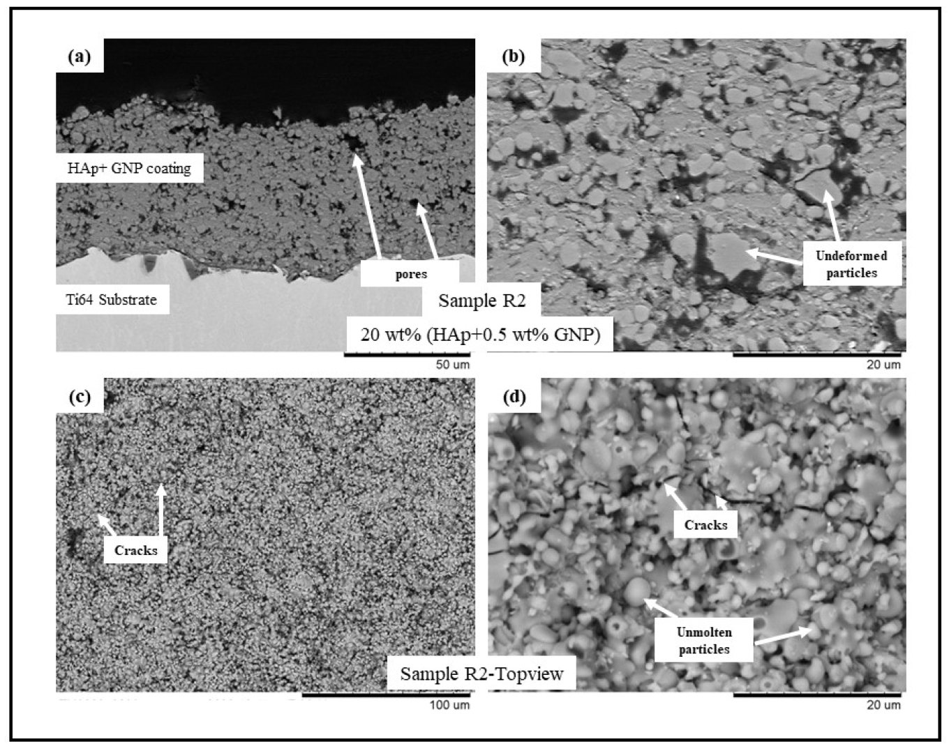 Bioengineering 10 00044 g002