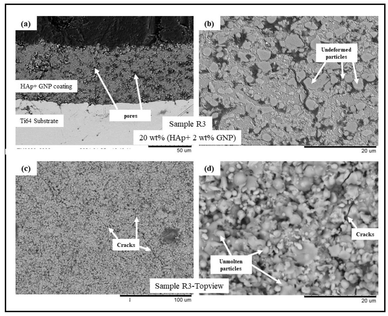 Bioengineering 10 00044 g003
