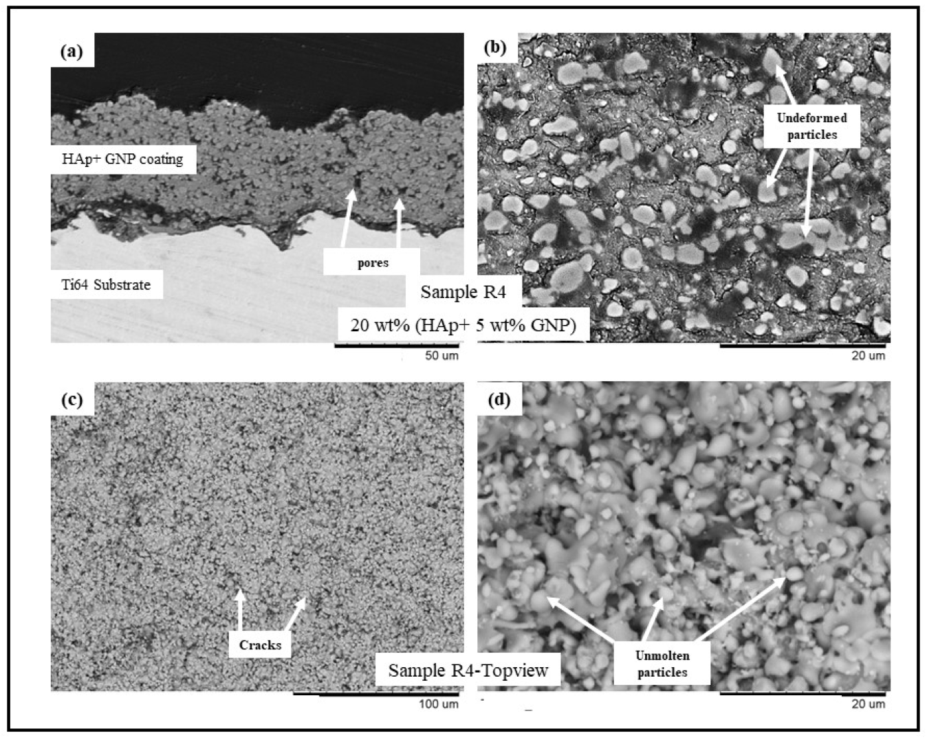 Bioengineering 10 00044 g004