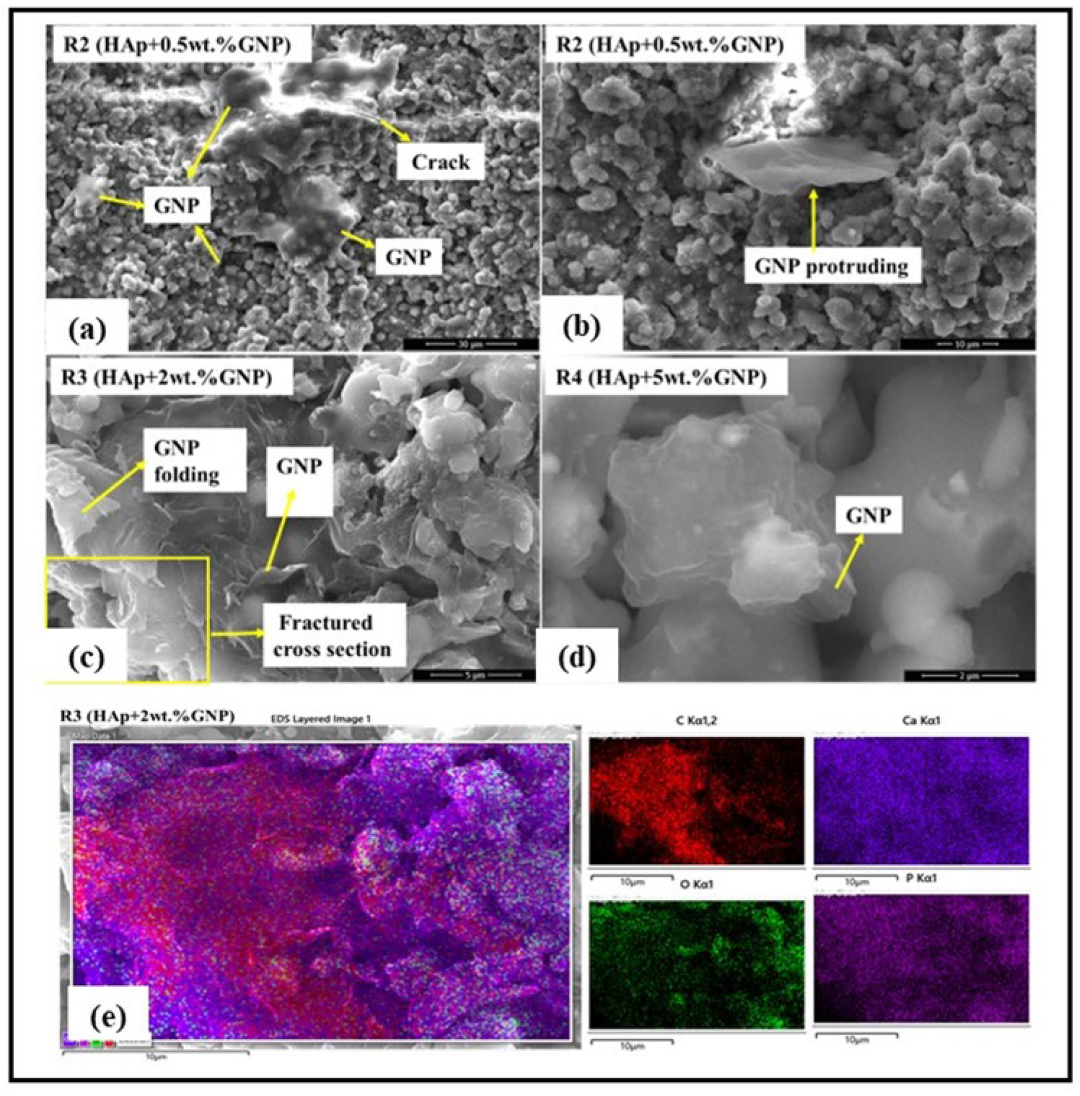 Bioengineering 10 00044 g005