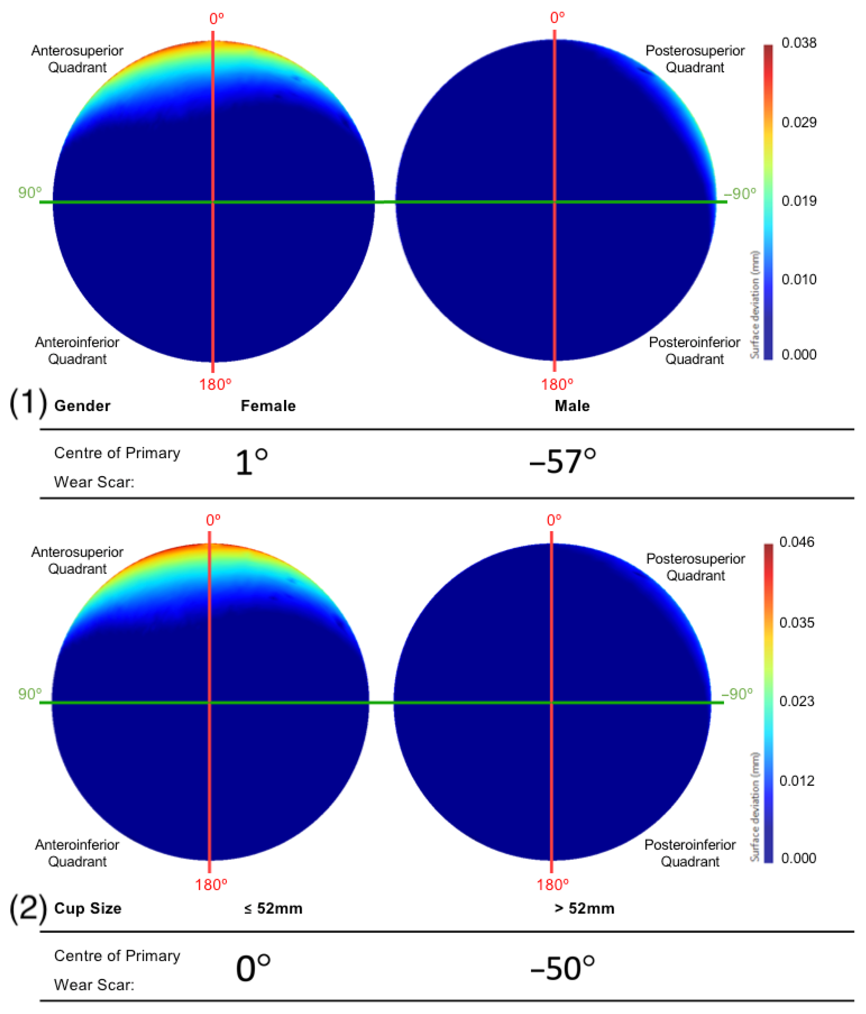 Bioengineering 10 00046 g010